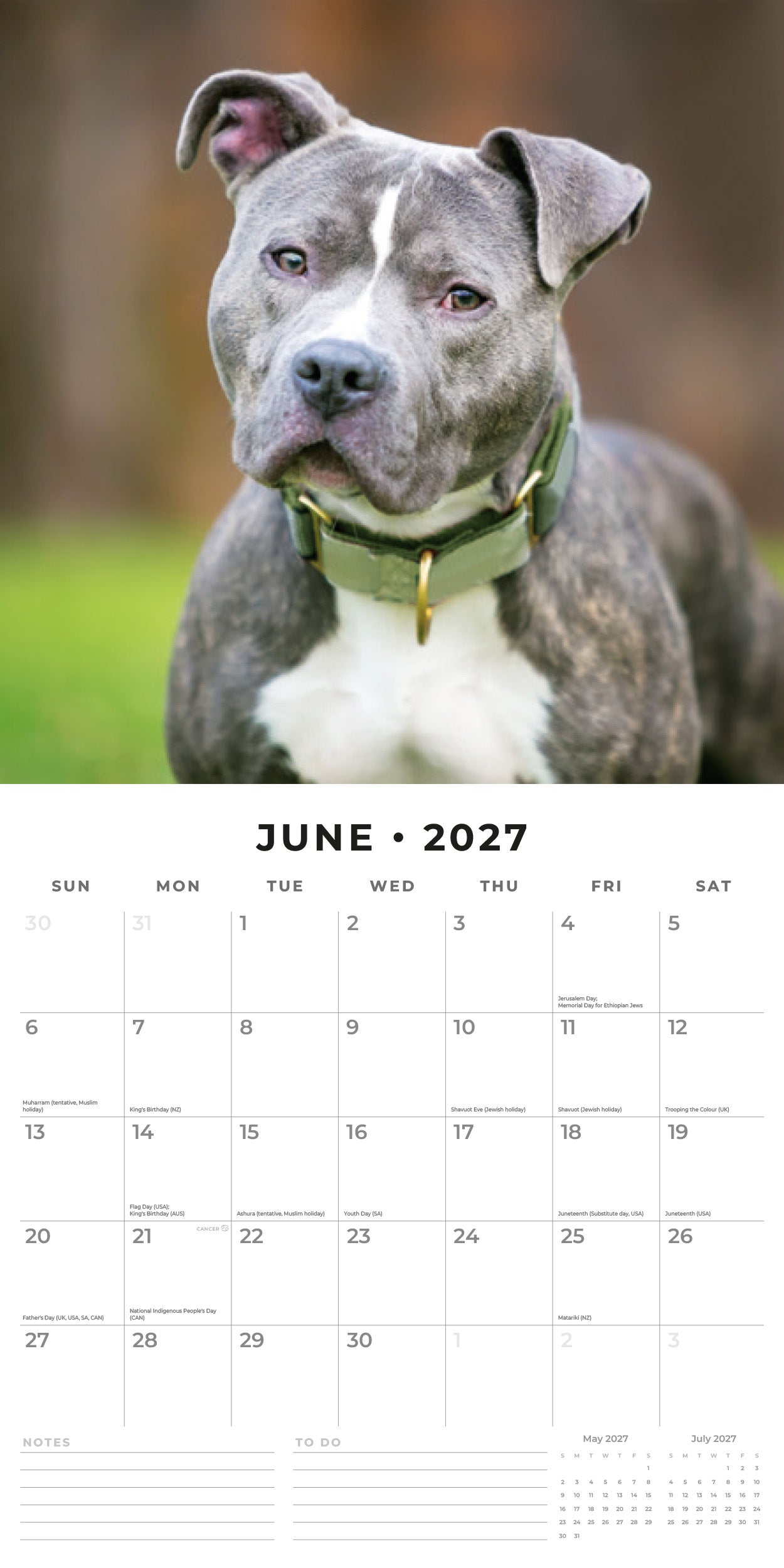 Red Robin 2027 Staffordshire Bull Terriers Wall Calendar | 12" x 12"
