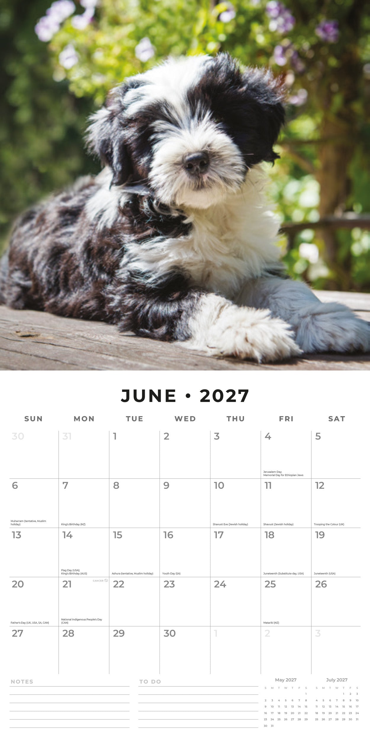 Red Robin 2027 Tibetan Terriers Monthly Wall Calendar | 12" x 12"