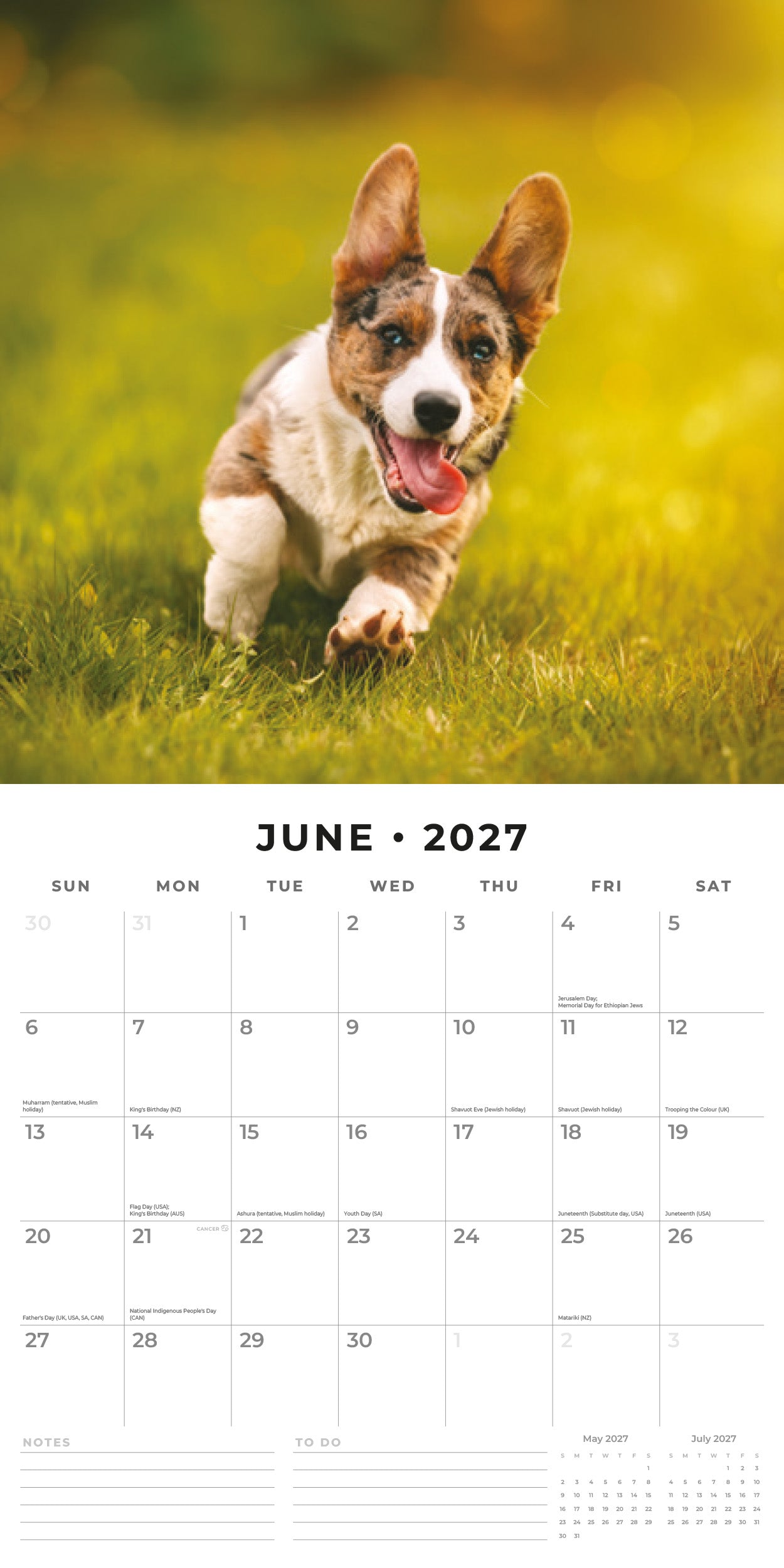 Red Robin 2027 Welsh Corgis Monthly Wall Calendar | 12" x 12"