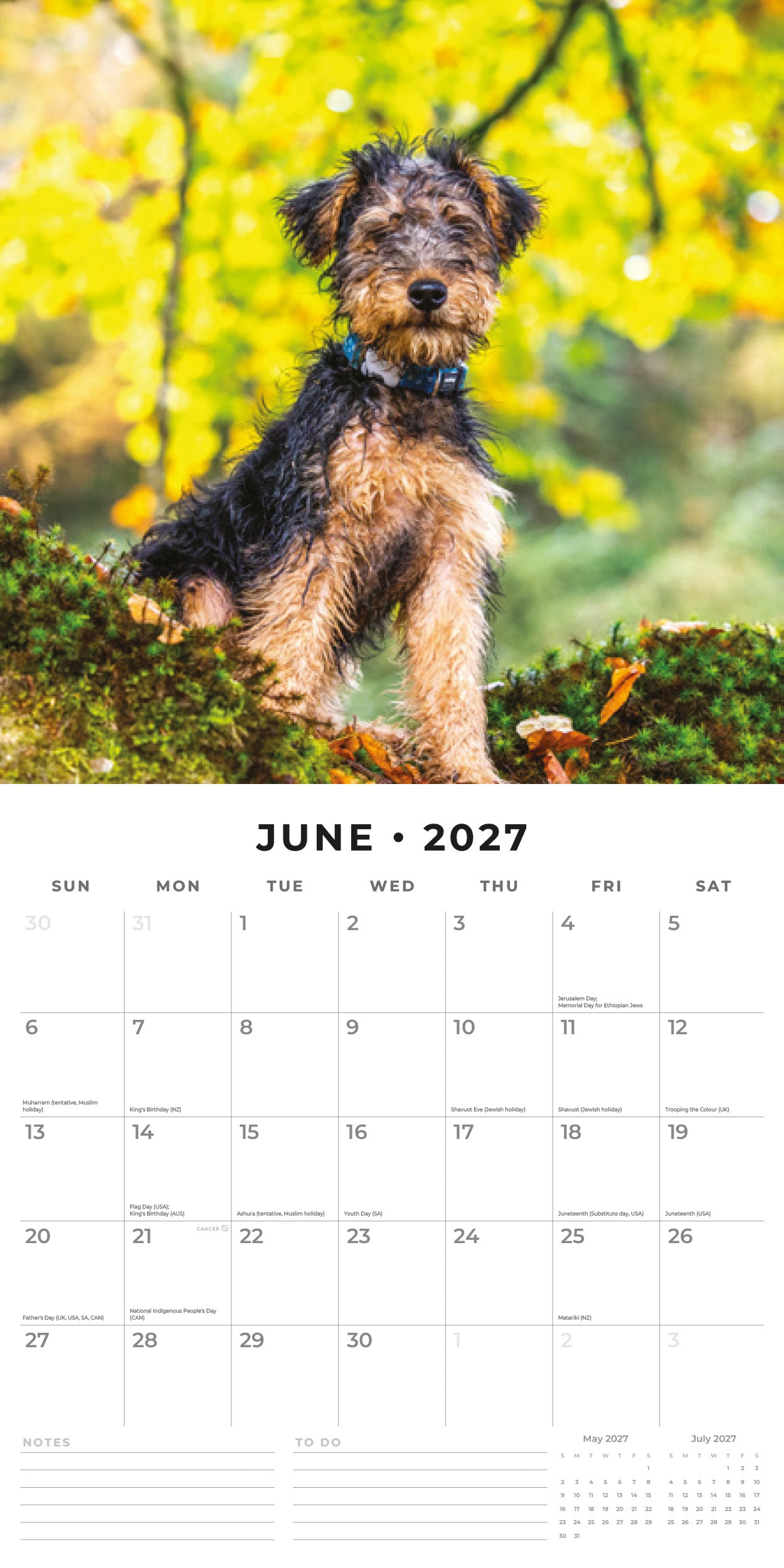 Red Robin 2027 Welsh Terriers Monthly Wall Calendar | 12" x 12"