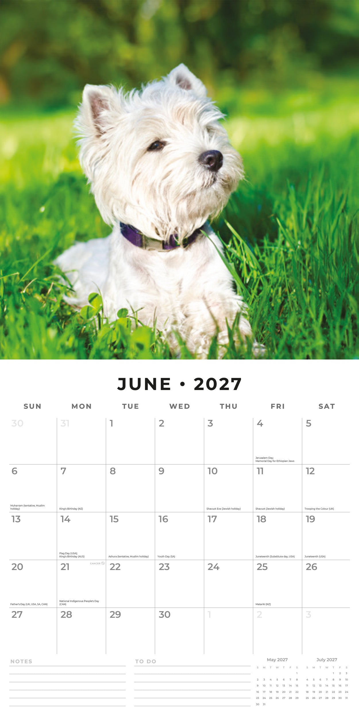 Red Robin 2027 West Highland White Terriers Wall Calendar | 12" x 12"