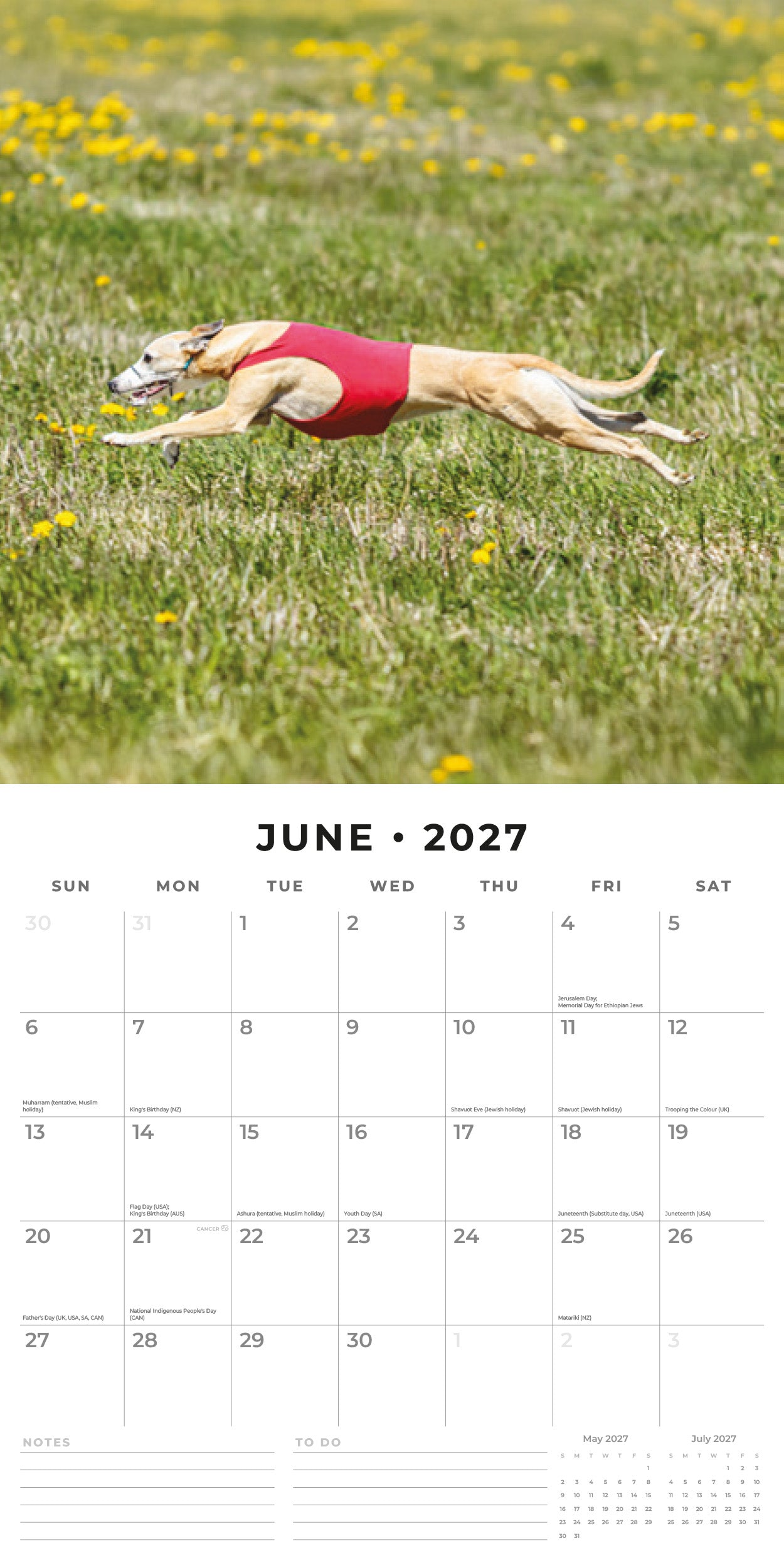 Red Robin 2027 Whippets Monthly Wall Calendar | 12" x 12"