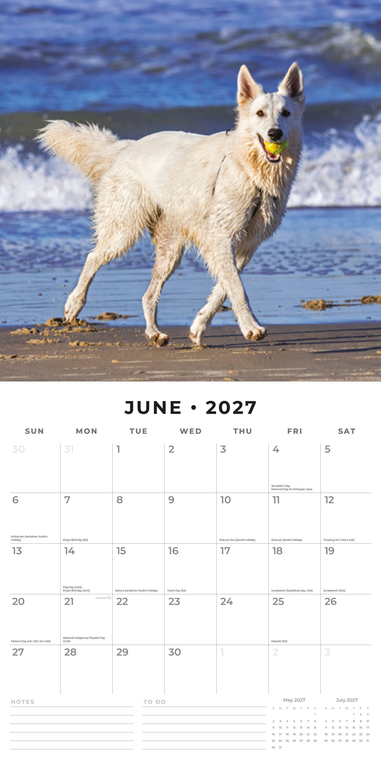 Red Robin 2027 White German Shepherds Monthly Wall Calendar | 12" x 12"