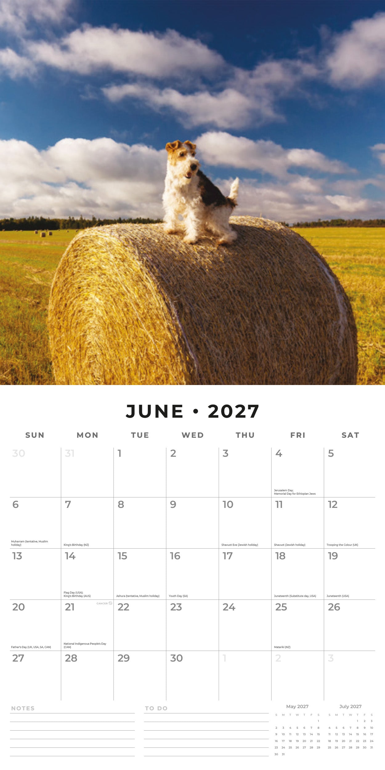 Red Robin 2027 Wire Fox Terriers Monthly Wall Calendar | 12" x 12"