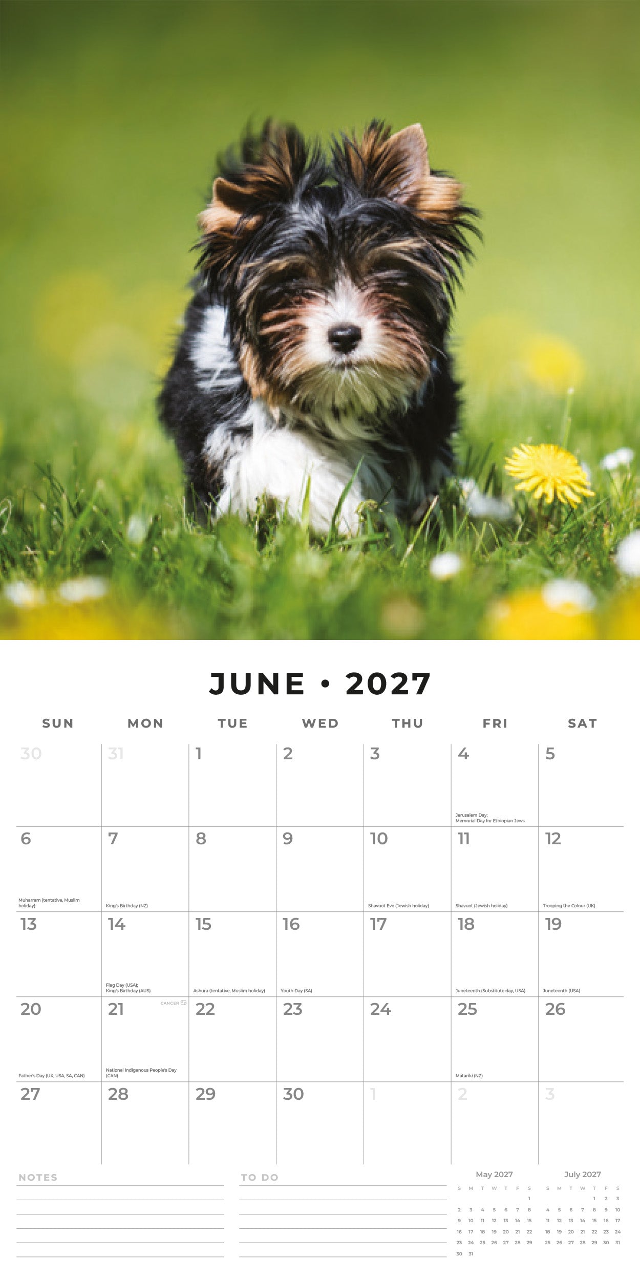 Red Robin 2027 Yorkshire Terrier Puppies Monthly Wall Calendar | 12" x 12"