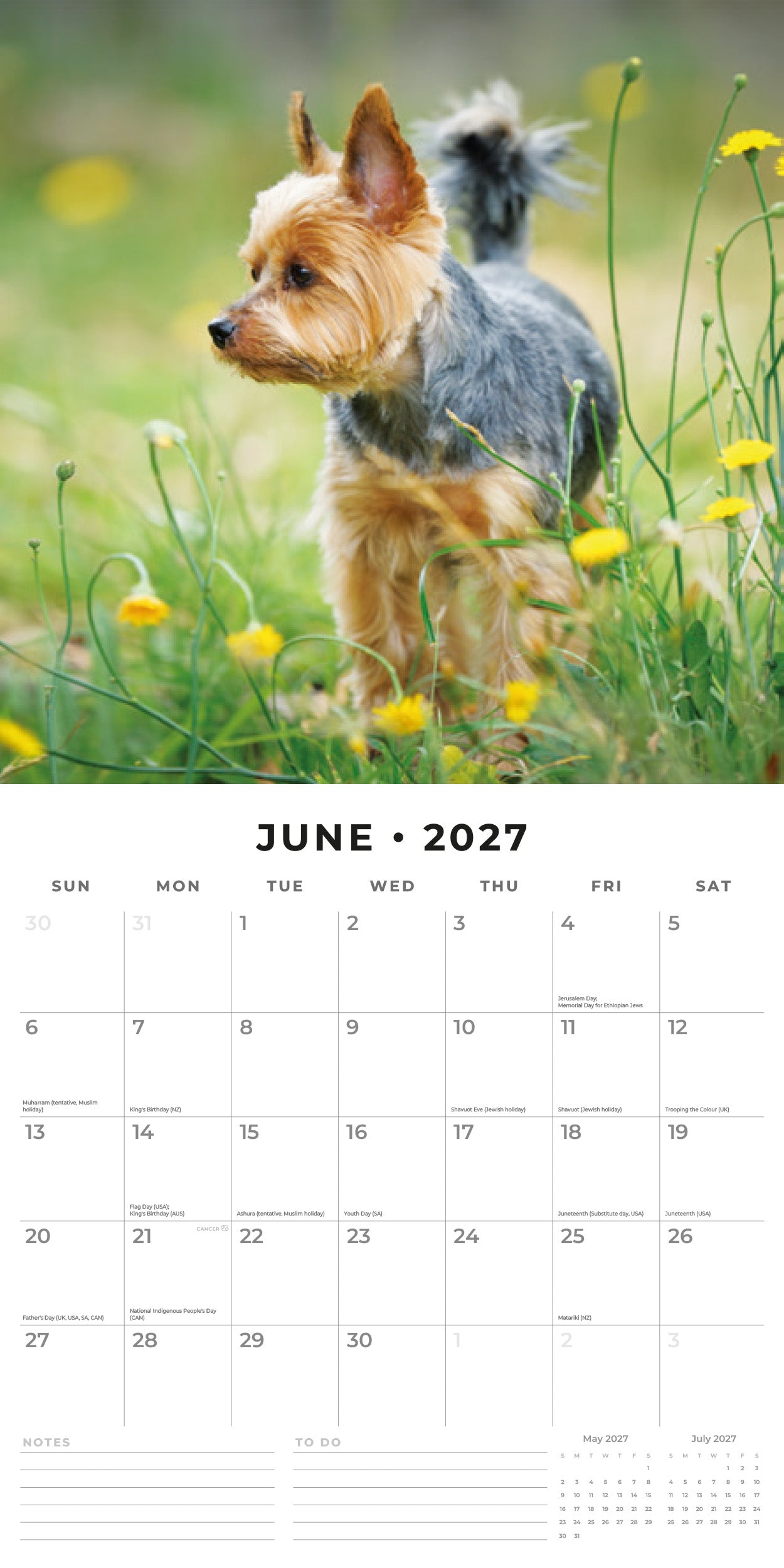 Red Robin 2027 Yorkshire Terriers Monthly Wall Calendar | 12" x 12"
