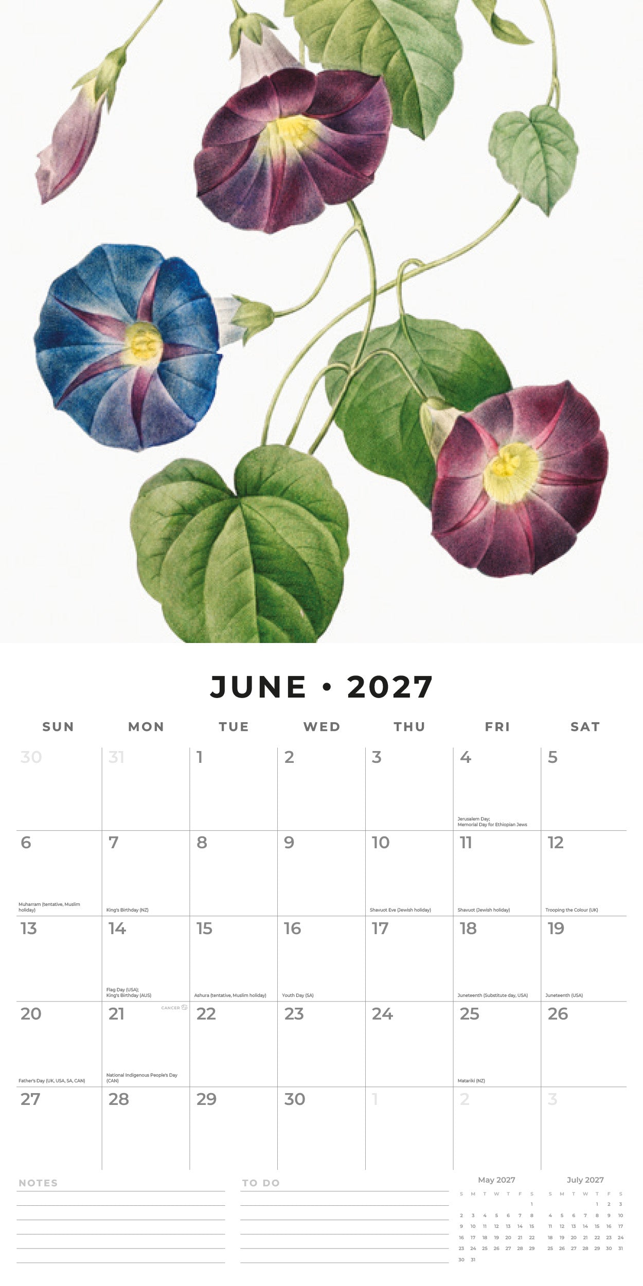 Red Robin 2027 Redoute Monthly Wall Calendar | 12" x 12"