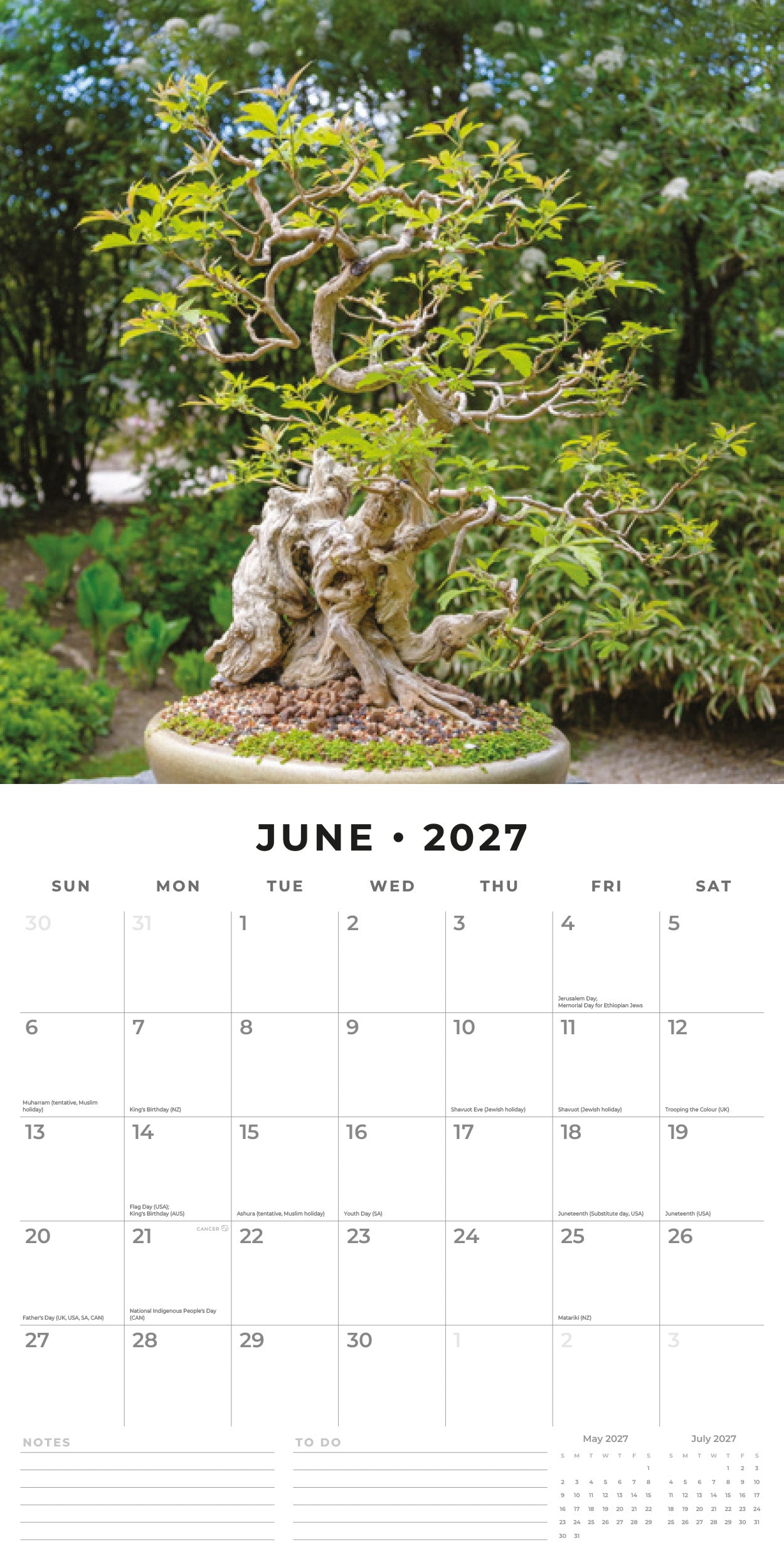 Red Robin 2027 Bonsai Monthly Wall Calendar | 12" x 12"