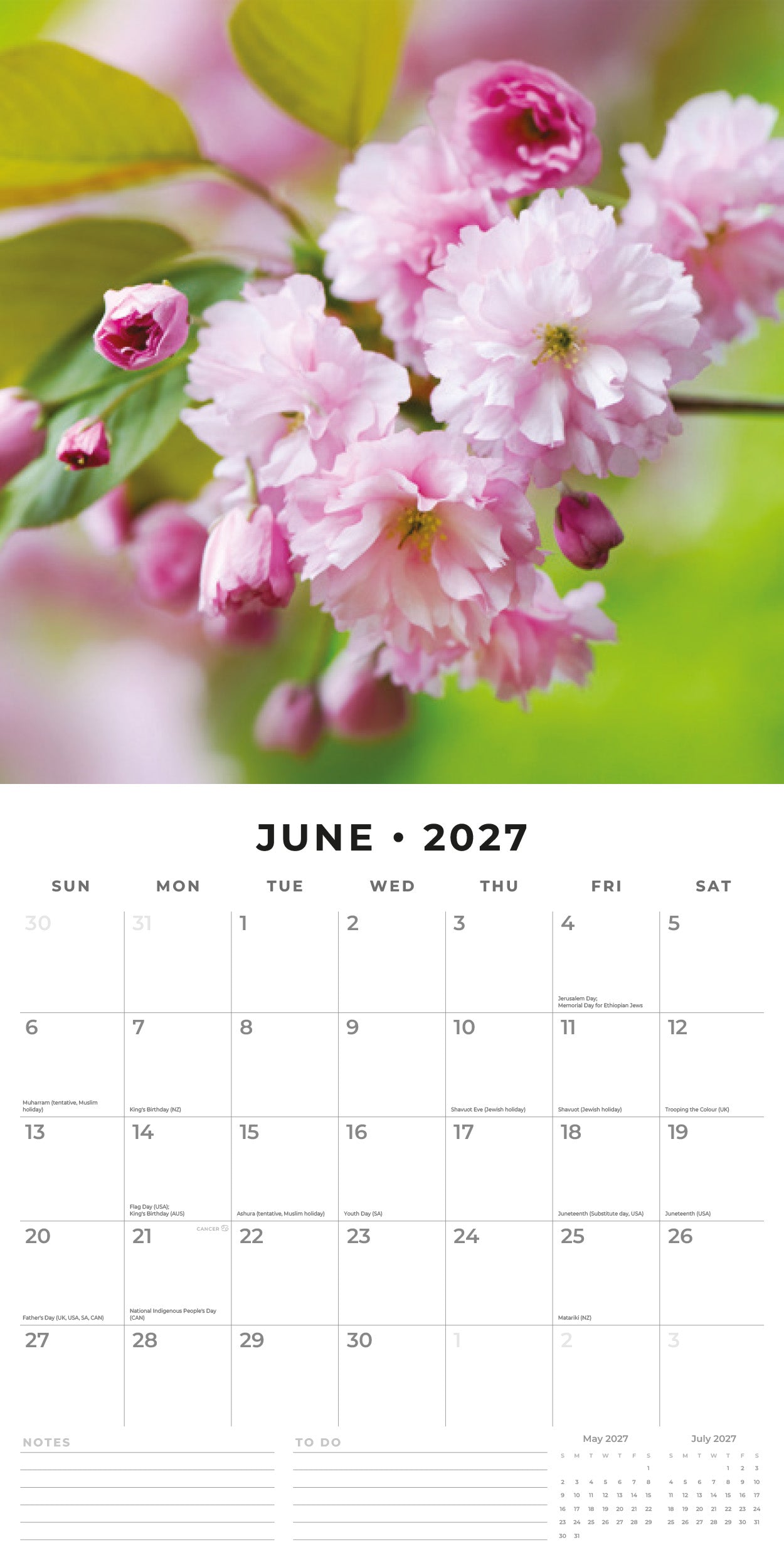 Red Robin 2027 Cherry Blossom Monthly Wall Calendar | 12" x 12"