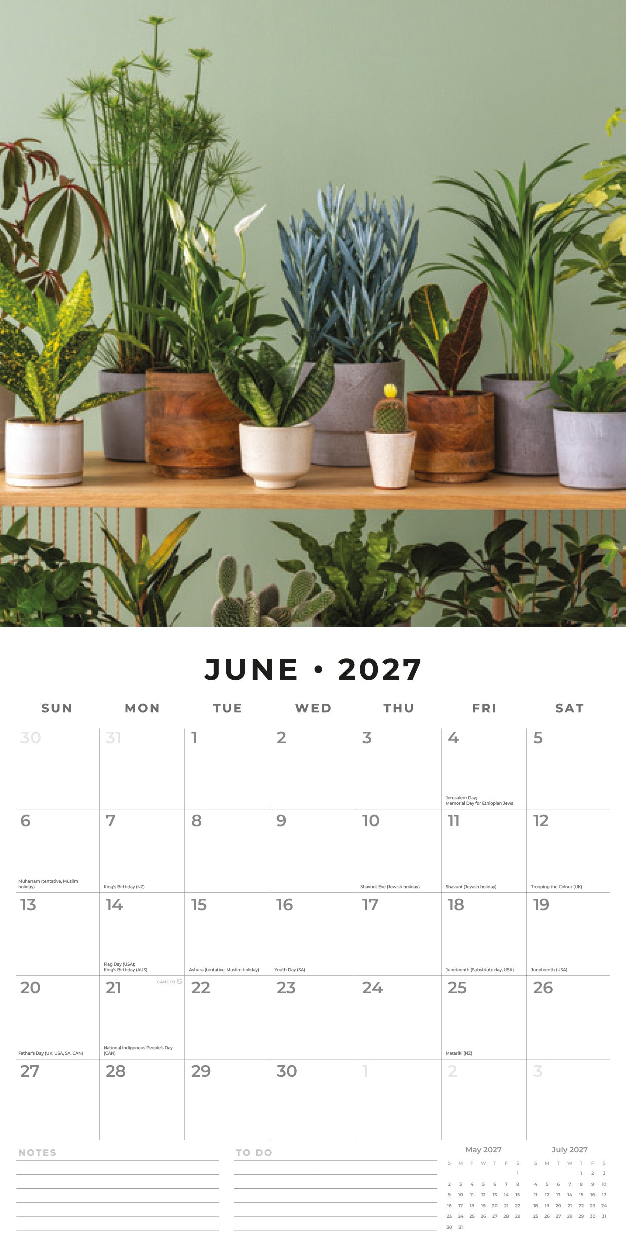 Red Robin 2027 House Plants Monthly Wall Calendar | 12" x 12"