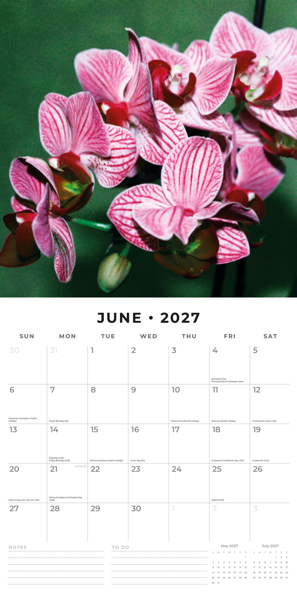 Red Robin 2027 Orchids Monthly Wall Calendar | 12" x 12"