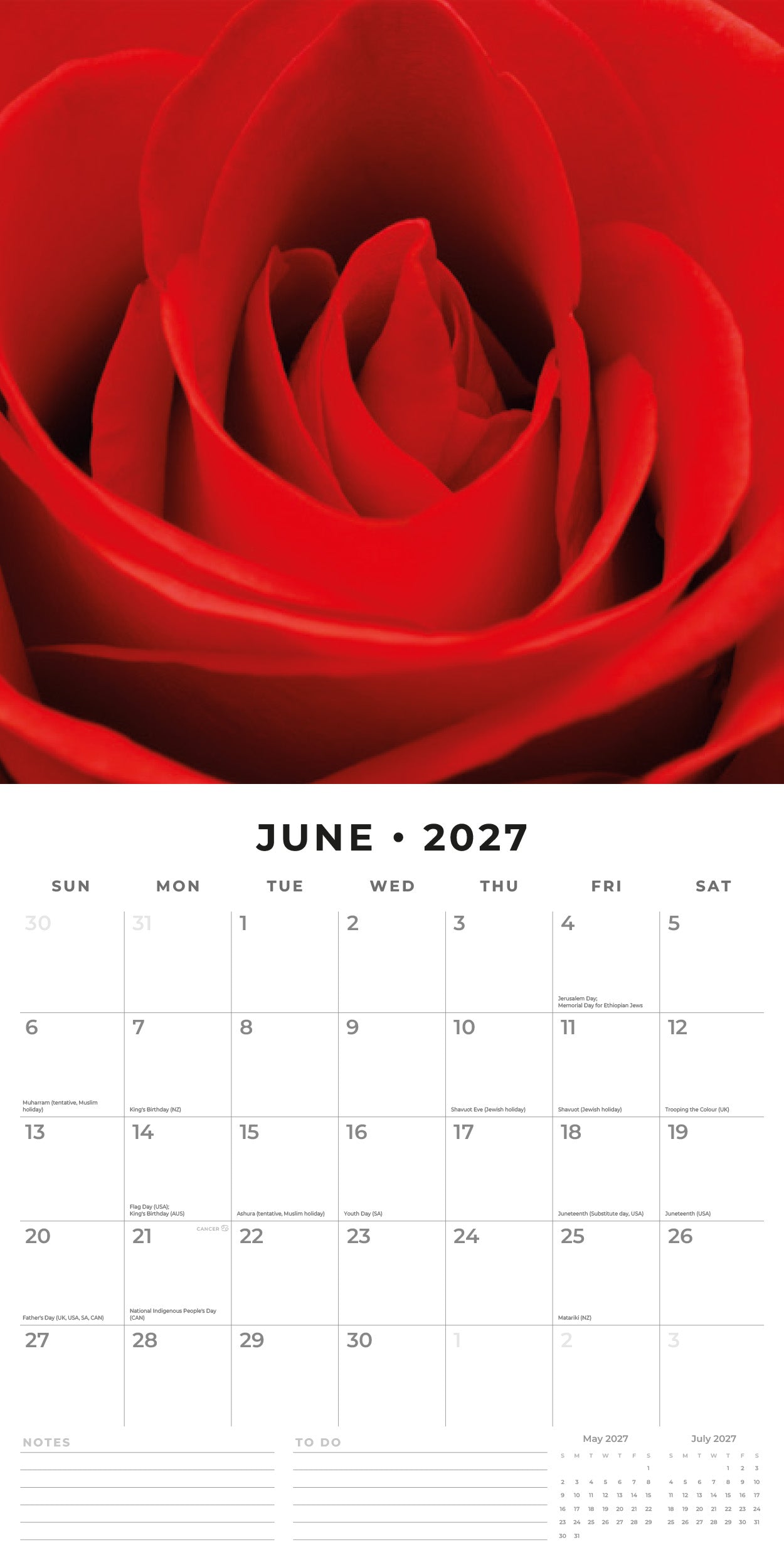 Red Robin 2027 Roses Monthly Wall Calendar | 12" x 12"