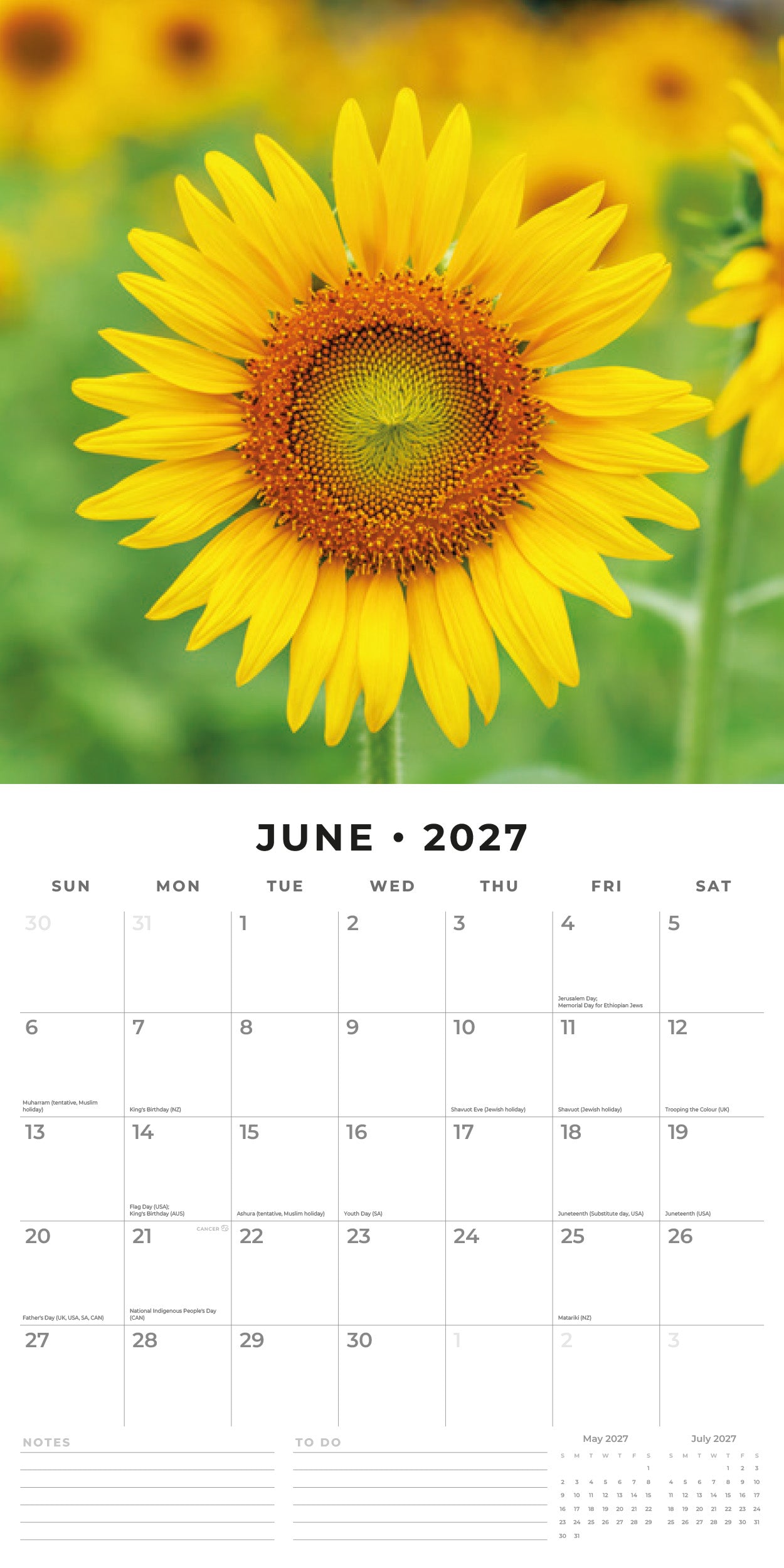 Red Robin 2027 Sunflowers Monthly Wall Calendar | 12" x 12"