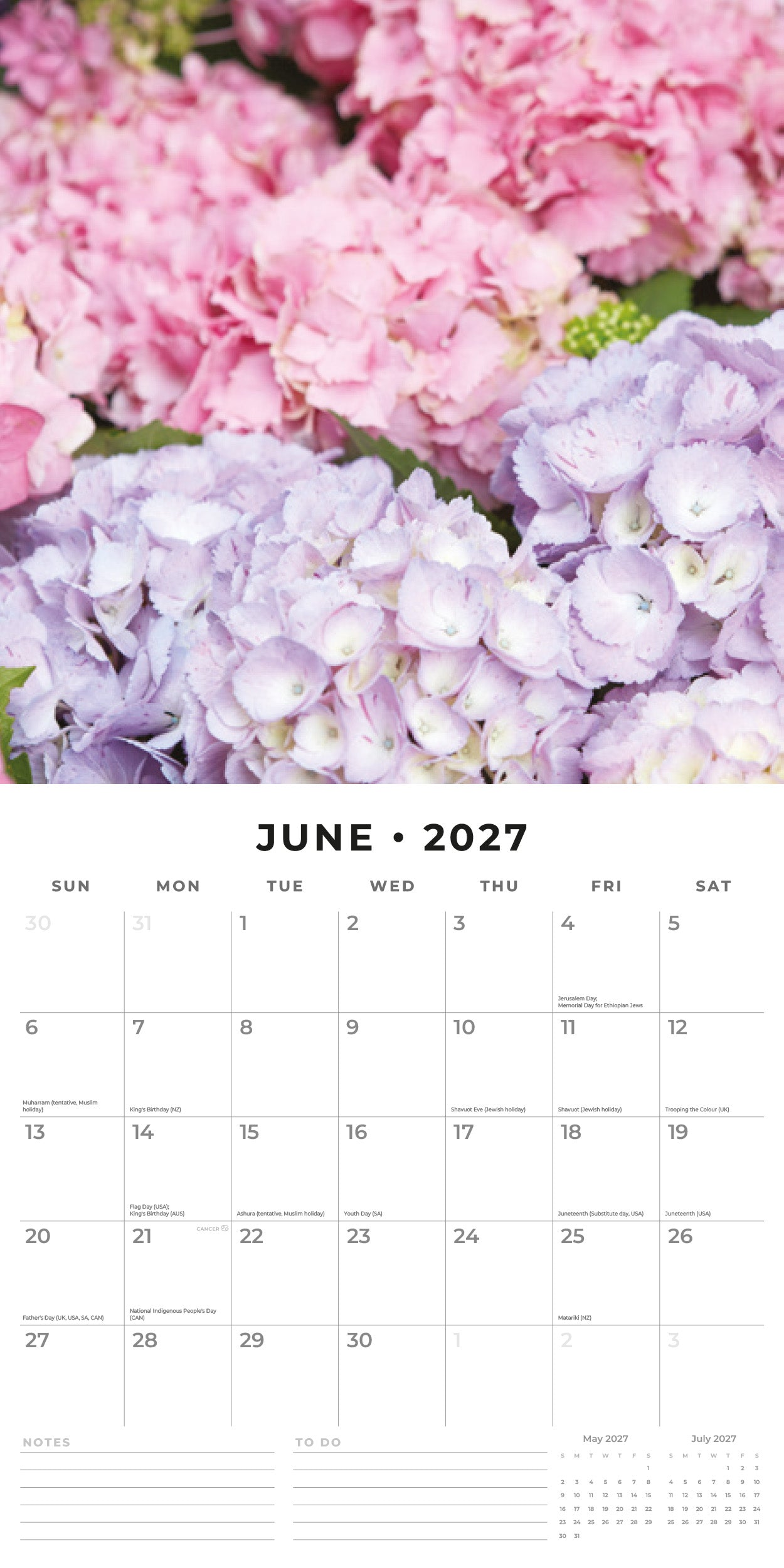 Red Robin 2027 Year in Bloom Monthly Wall Calendar | 12" x 12"