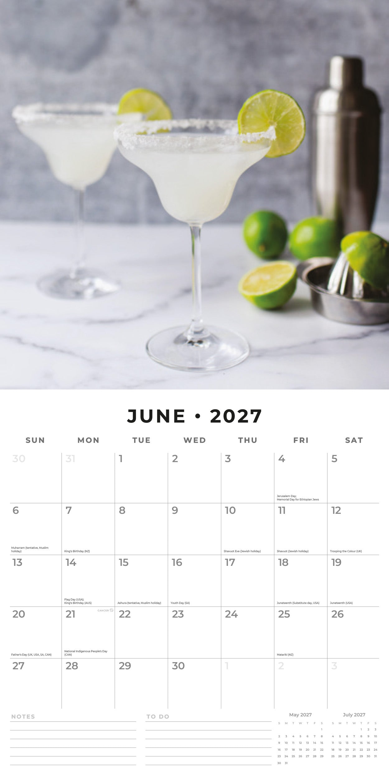 Red Robin 2027 Cocktails Monthly Wall Calendar | 12" x 12"