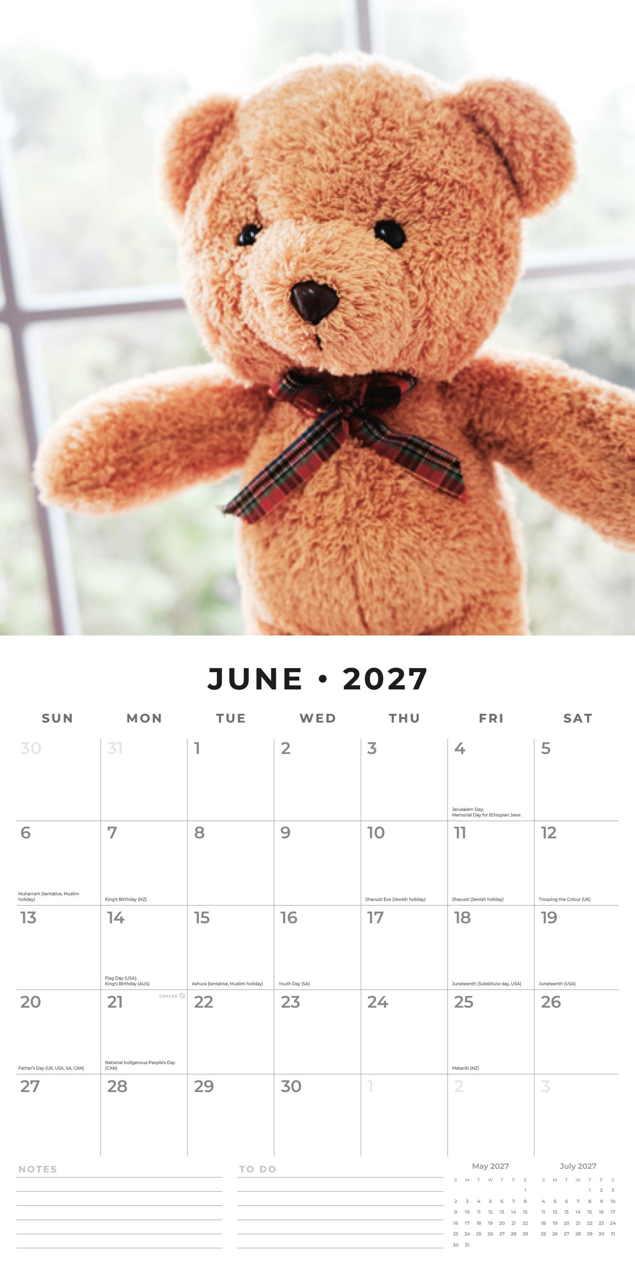 Red Robin 2027 Teddy Bears Monthly Wall Calendar | 12" x 12"