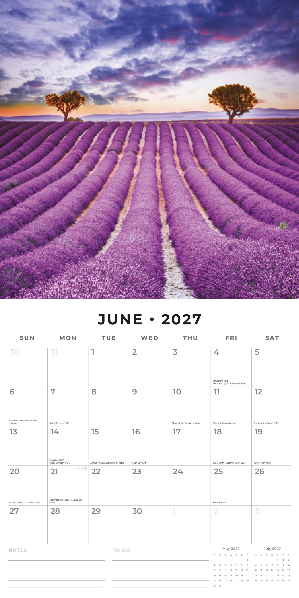 Red Robin 2027 Seasons Monthly Wall Calendar | 12" x 12"