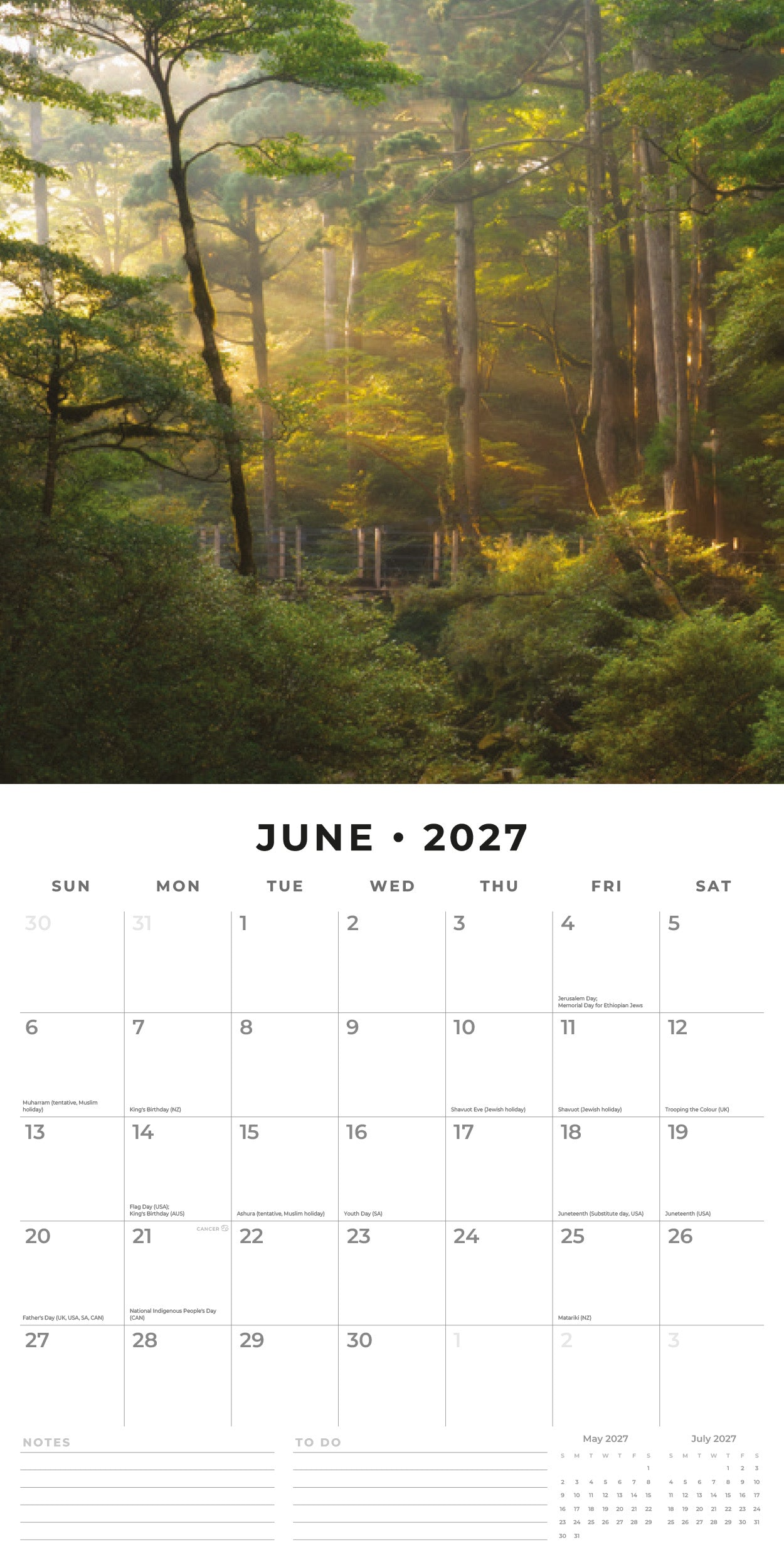 Red Robin 2027 Woodland Scenes Monthly Wall Calendar | 12" x 12"