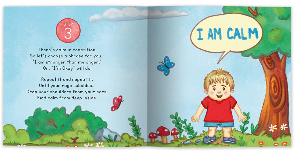Today, I Feel Angry: A Book About Managing Emotions