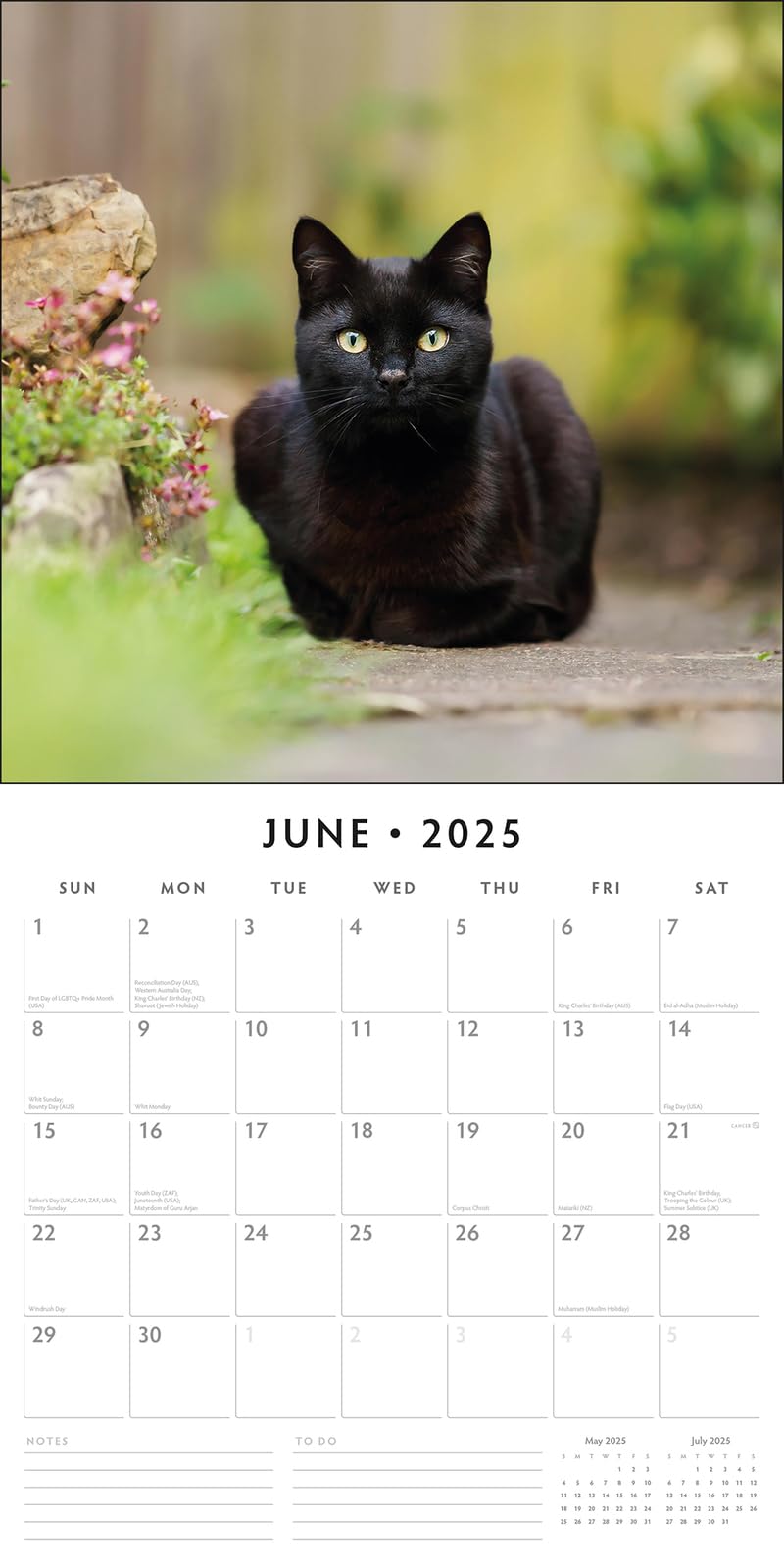 Red Robin 2025 Black Cats Monthly Wall Calendar | 12" x 24" Open | Premium Thick & Sturdy Paper | Hangable 12 Month Calendar | Plastic Free | 4 Month Transition Page for 2024