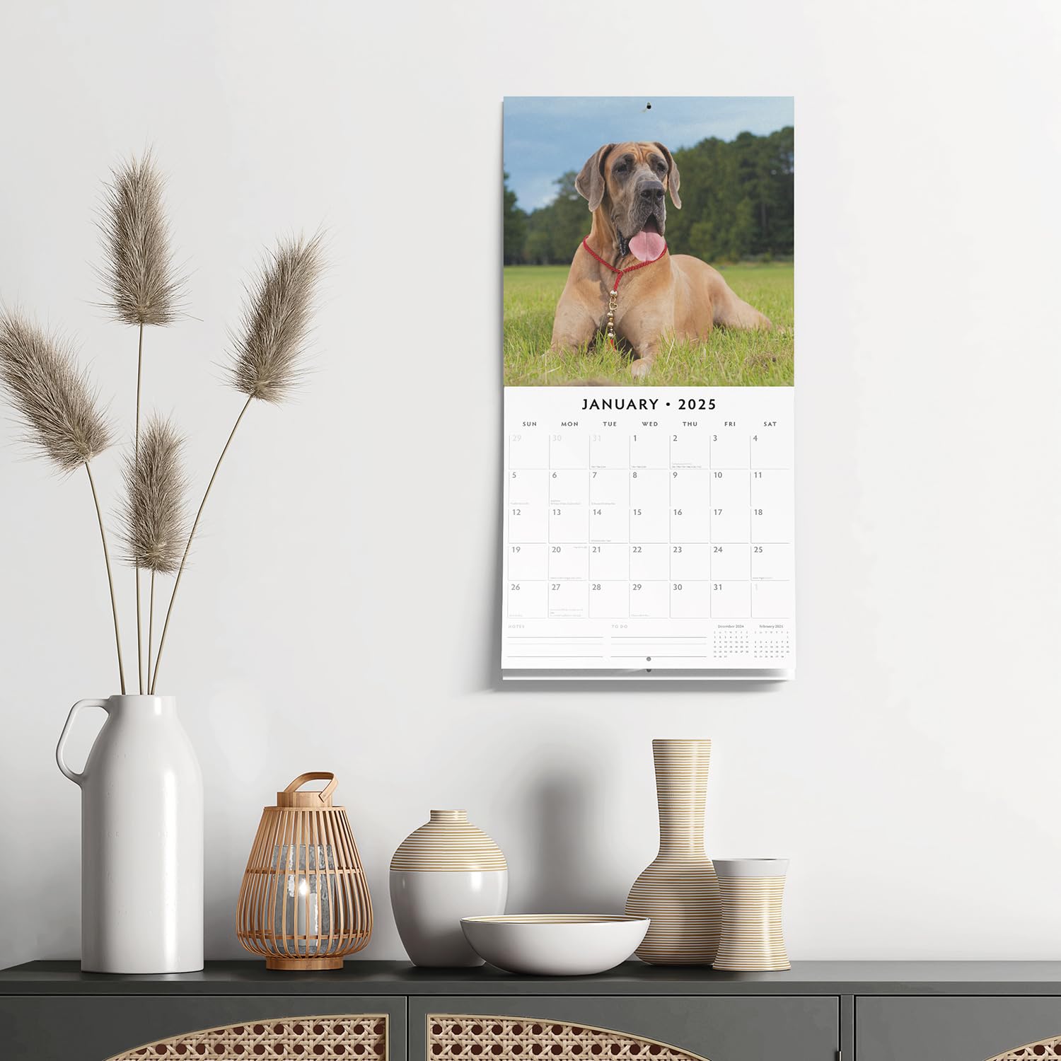 Red Robin 2025 Great Danes Monthly Wall Calendar | 12" x 24" Open | Premium Thick & Sturdy Paper | Hangable 12 Month Calendar | Plastic Free | 4 Month Transition Page for 2024