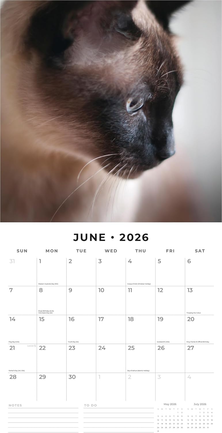 Red Robin 2026 Siamese Cats Monthly Wall Calendar | 12" x 24" Open | Premium Thick & Sturdy Paper | Hangable 12 Month Calendar | Lined Notes & To Do Area | Vivid Images | Plastic Free