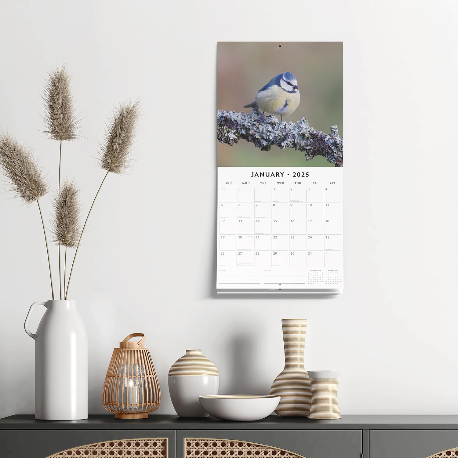 Red Robin 2025 Birds Monthly Wall Calendar | 12" x 24" Open | Premium Thick & Sturdy Paper | Hangable 12 Month Calendar | Plastic Free | 4 Month Transition Page for 2024