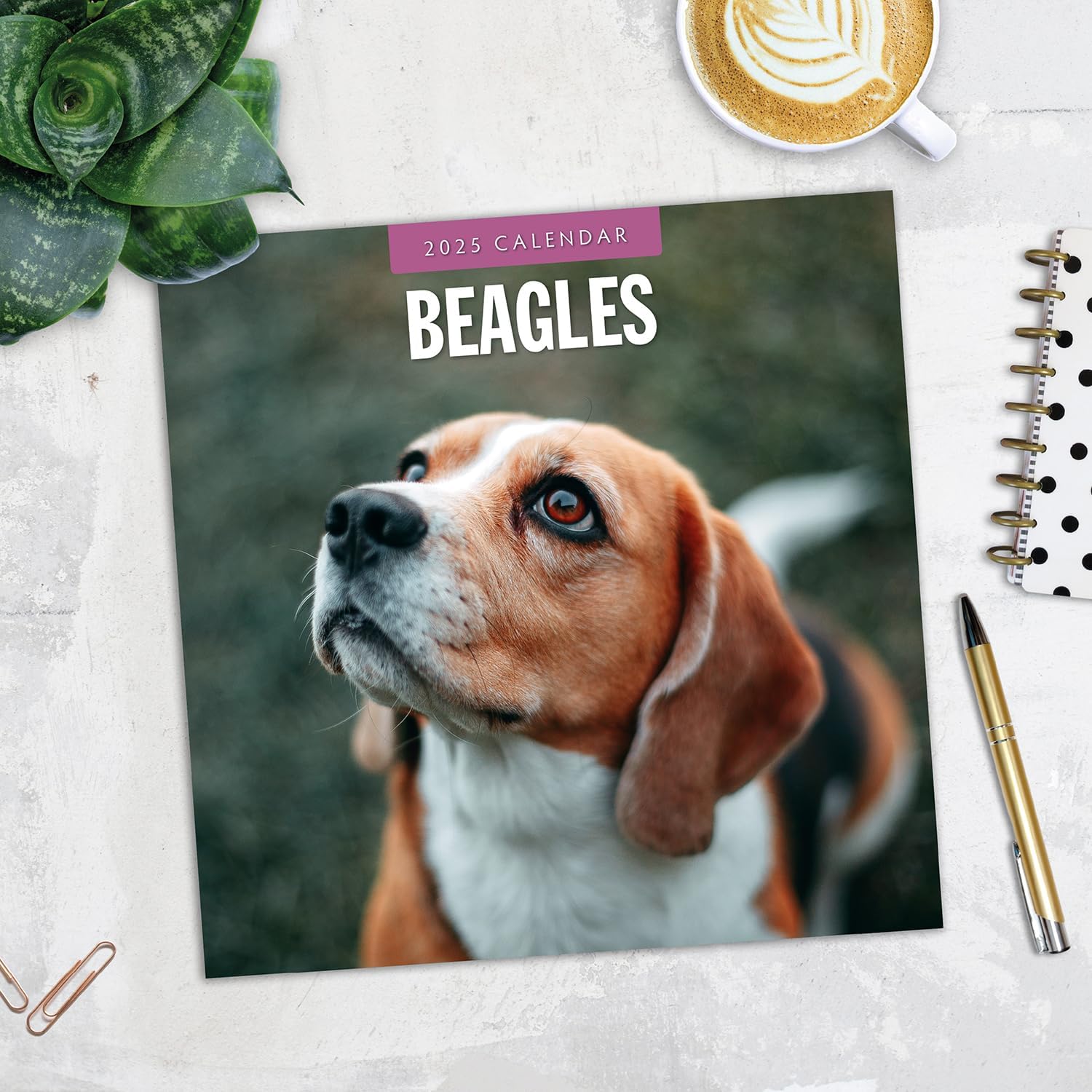 Red Robin 2025 Beagles Monthly Wall Calendar | 12" x 24" Open | Premium Thick & Sturdy Paper | Hangable 12 Month Calendar | Plastic Free | 4 Month Transition Page for 2024