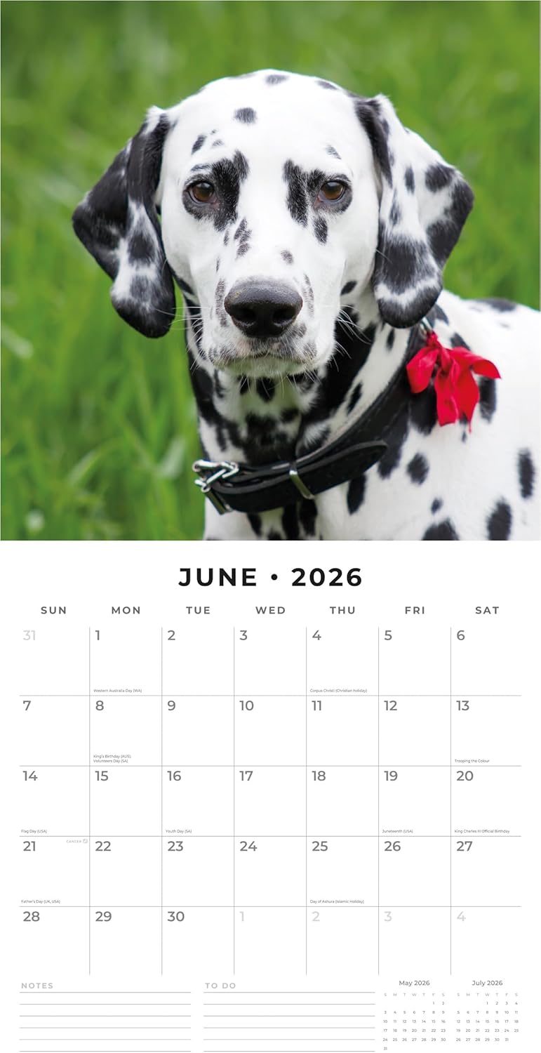 Red Robin 2026 Dalmatians Monthly Wall Calendar | 12" x 24" Open | Premium Thick & Sturdy Paper | Hangable 12 Month Calendar | Lined Notes & To Do Area | Vivid Images | Plastic Free
