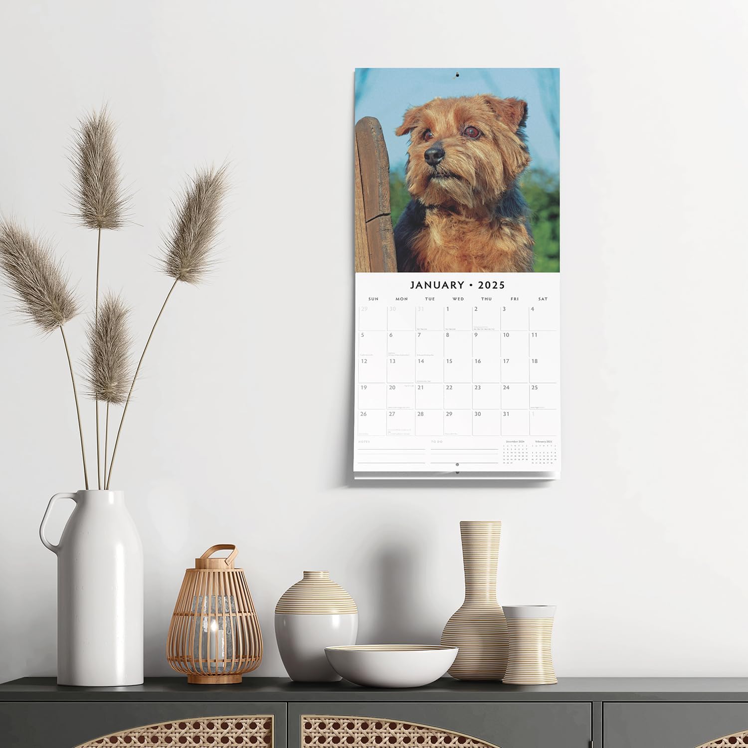 Red Robin 2025 Norwich-/Norfolk Terriers Monthly Wall Calendar | 12" x 24" Open | Premium Thick & Sturdy Paper | Hangable 12 Month Calendar | Plastic Free | 4 Month Transition Page for 2024