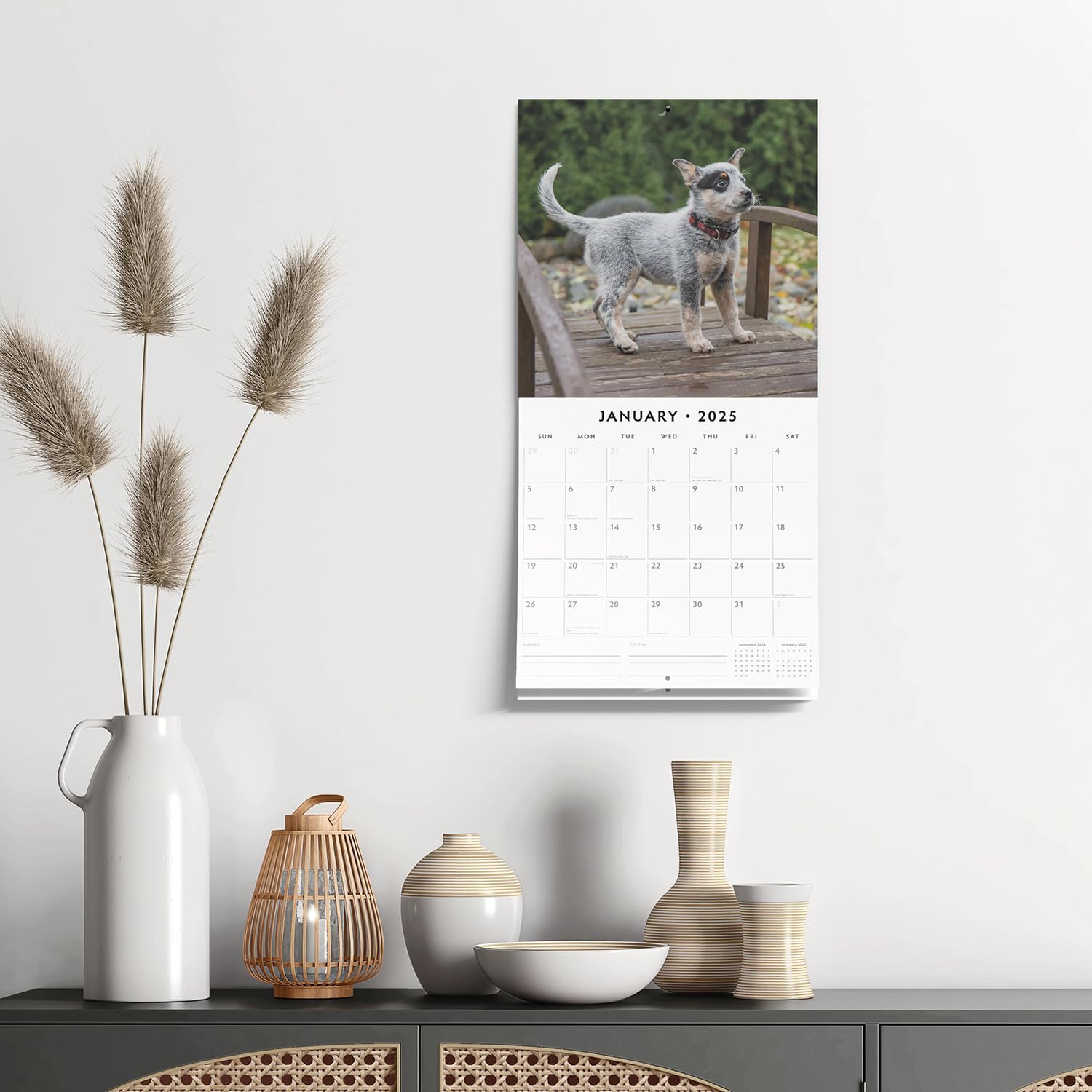 Red Robin 2025 Australian Cattle Dogs Monthly Wall Calendar | 12" x 24" Open | Premium Thick & Sturdy Paper | Hangable 12 Month Calendar | Plastic Free | 4 Month Transition Page for 2024