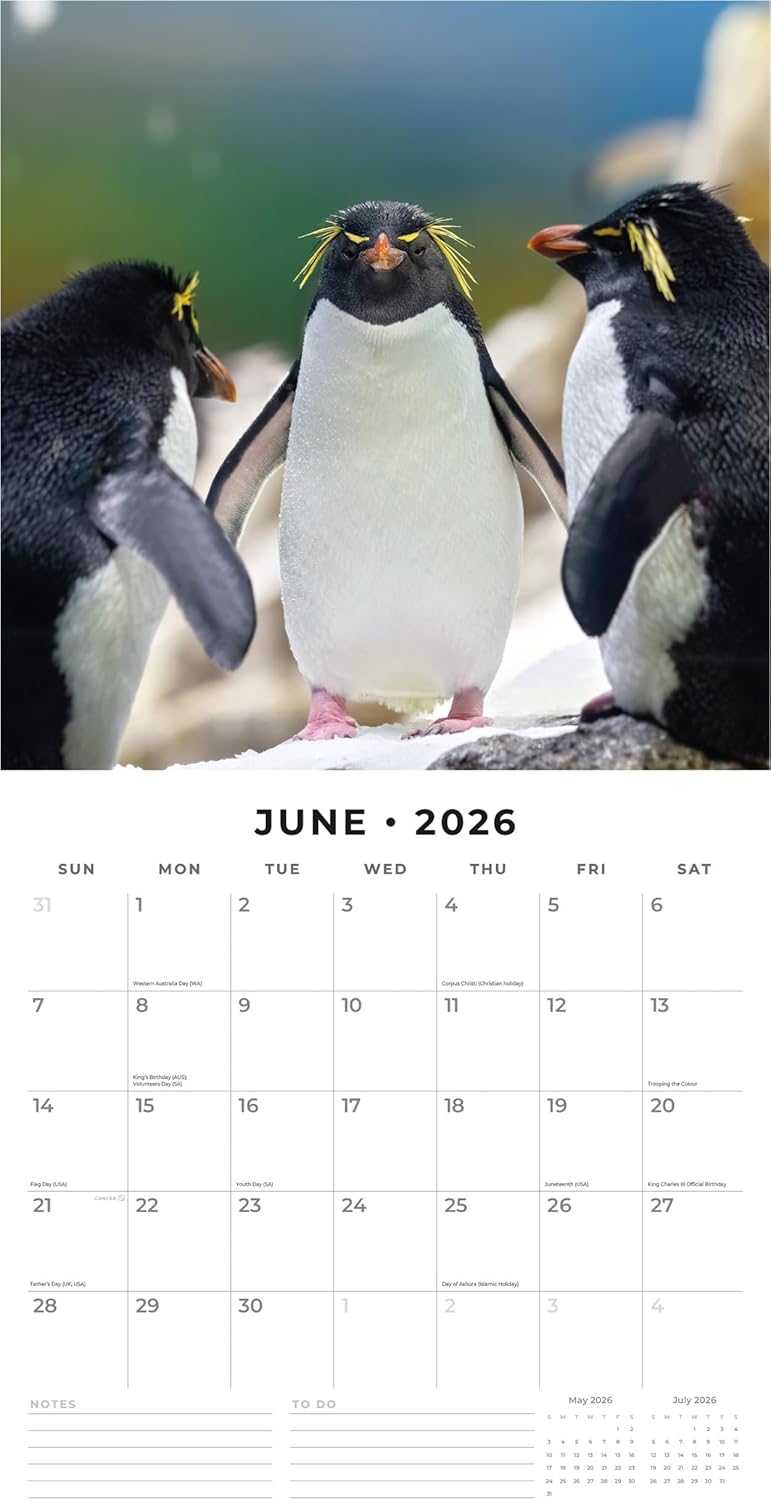Red Robin 2026 Penguins Monthly Wall Calendar | 12" x 24" Open | Premium Thick & Sturdy Paper | Hangable 12 Month Calendar | Lined Notes & To Do Area | Vivid Images | Plastic Free