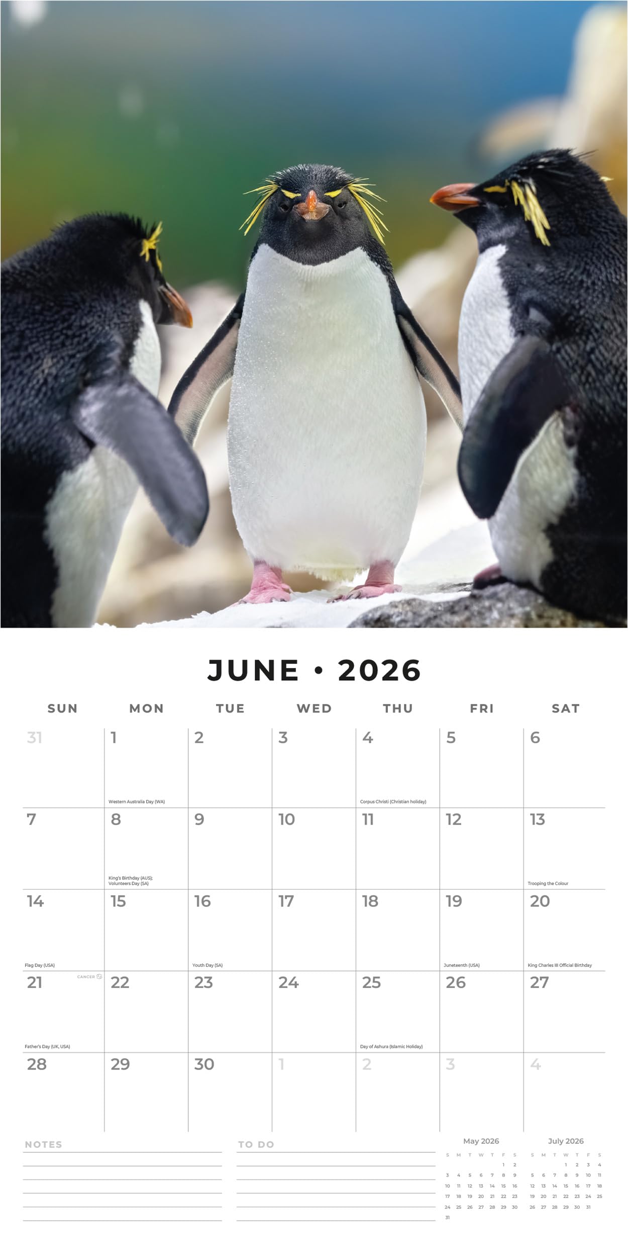 Red Robin 2027 Cats & Dogs Monthly Wall Calendar | 12" x 12"
