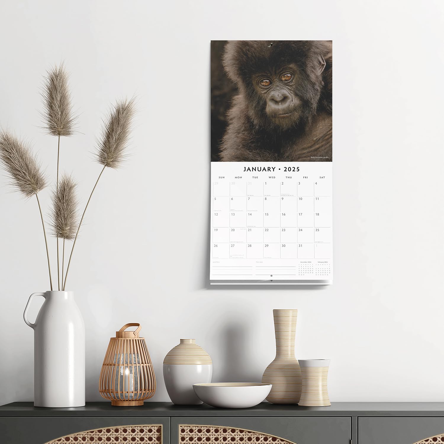 2025 Apes Monthly Wall Calendar | 12" x 24" Open | Premium Thick & Sturdy Paper | Hangable 12 Month Calendar | Plastic Free | 4 Month Transition Page for 2024