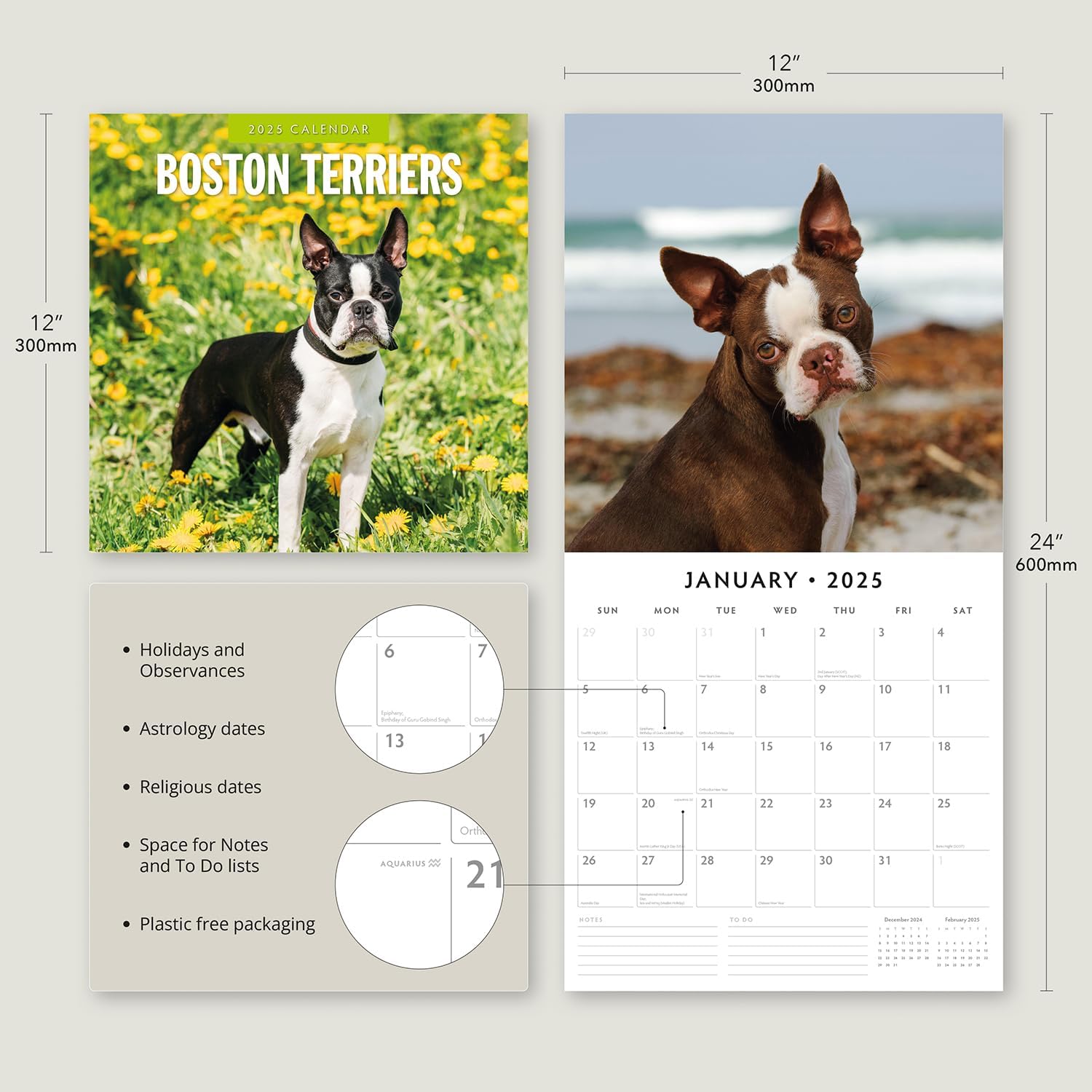 Red Robin 2025 Boston Terriers Monthly Wall Calendar | 12" x 24" Open | Premium Thick & Sturdy Paper | Hangable 12 Month Calendar | Plastic Free | 4 Month Transition Page for 2024