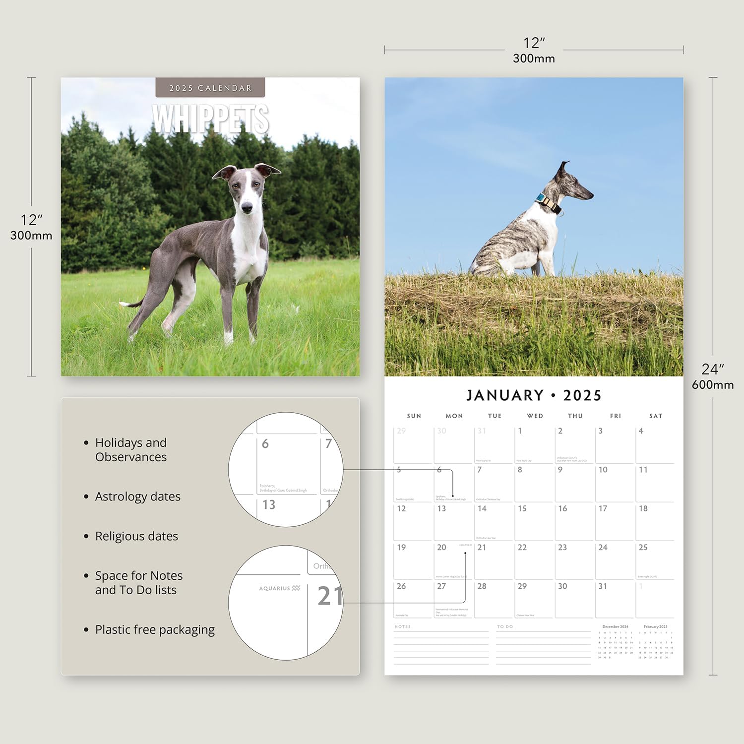 Red Robin 2025 Whippets Monthly Wall Calendar | 12" x 24" Open | Premium Thick & Sturdy Paper | Hangable 12 Month Calendar | Plastic Free | 4 Month Transition Page for 2024