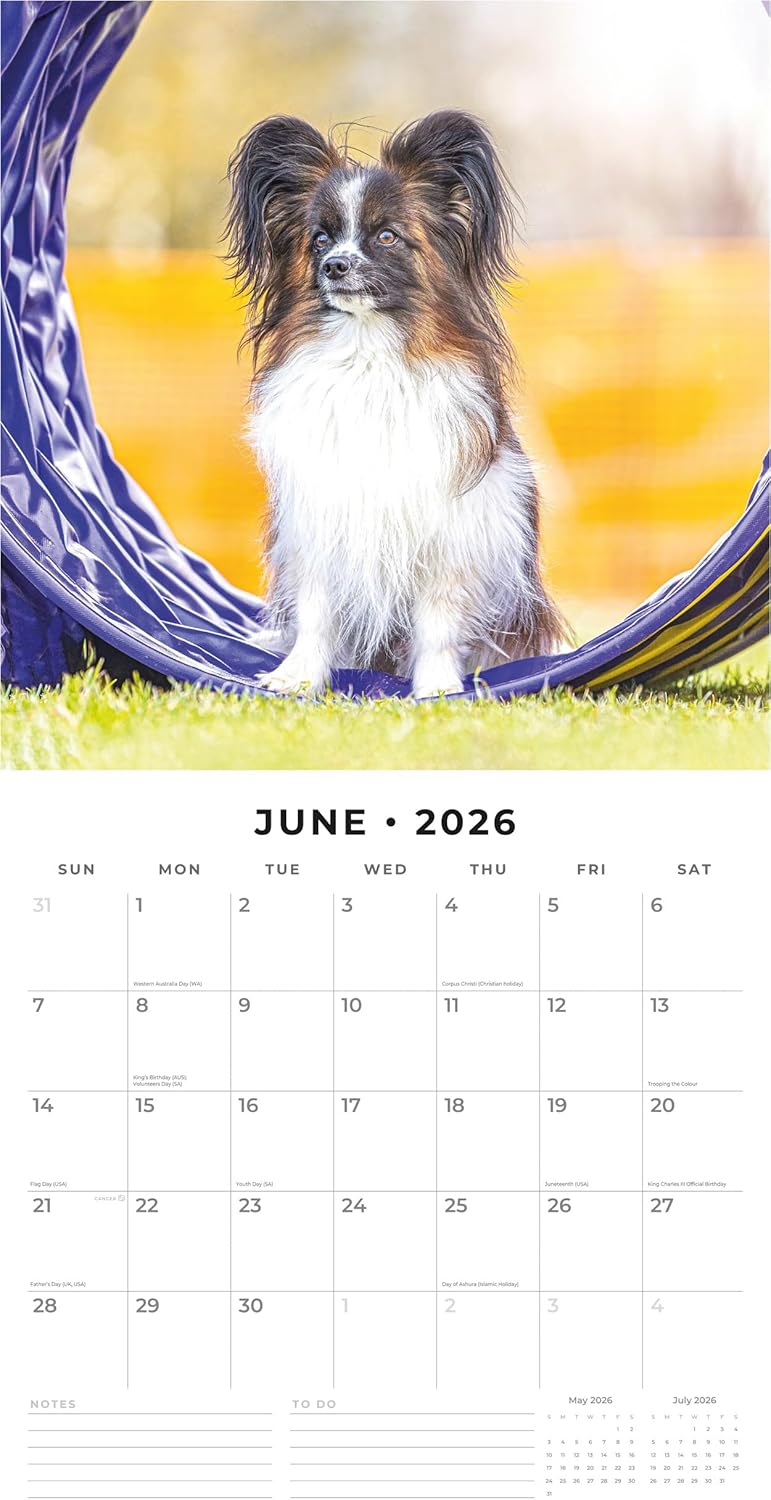 Red Robin 2026 Papillions Monthly Wall Calendar | 12" x 24" Open | Premium Thick & Sturdy Paper | Hangable 12 Month Calendar | Lined Notes & To Do Area | Vivid Images | Plastic Free