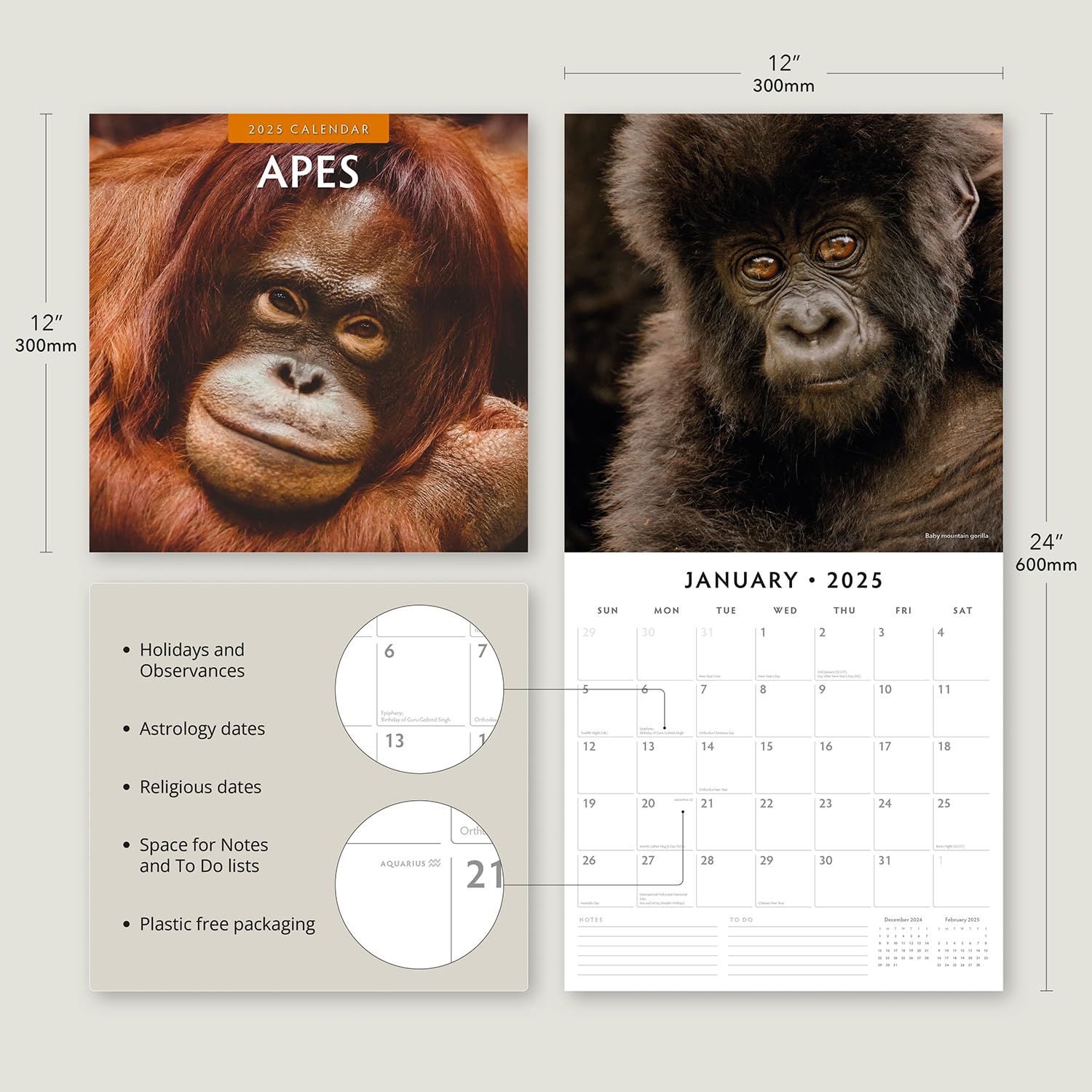 2025 Apes Monthly Wall Calendar | 12" x 24" Open | Premium Thick & Sturdy Paper | Hangable 12 Month Calendar | Plastic Free | 4 Month Transition Page for 2024