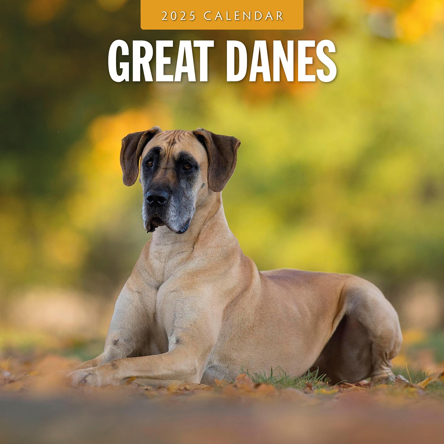Red Robin 2025 Great Danes Monthly Wall Calendar | 12" x 24" Open | Premium Thick & Sturdy Paper | Hangable 12 Month Calendar | Plastic Free | 4 Month Transition Page for 2024