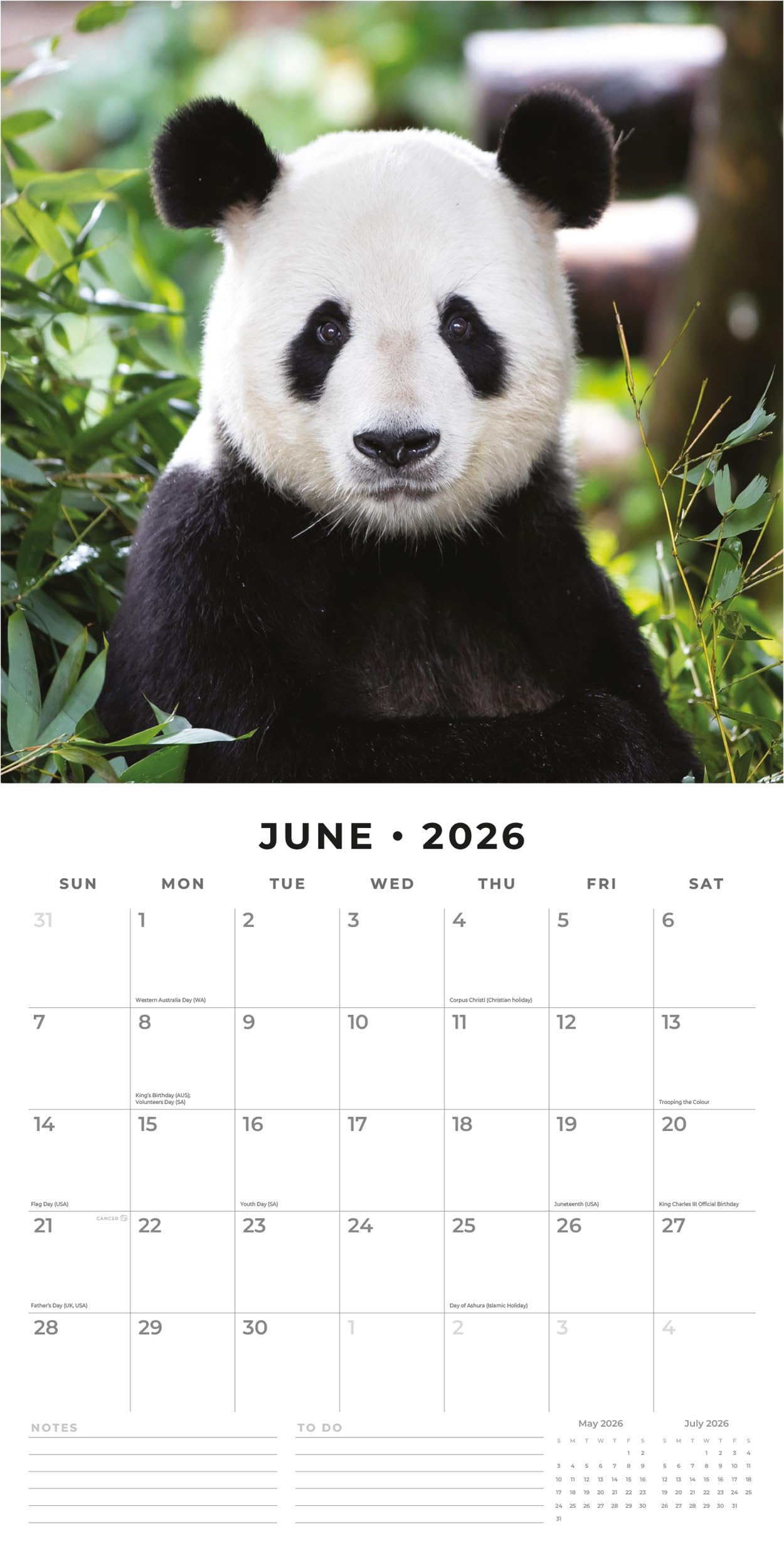 Red Robin 2027 Cats & Dogs Monthly Wall Calendar | 12" x 12"