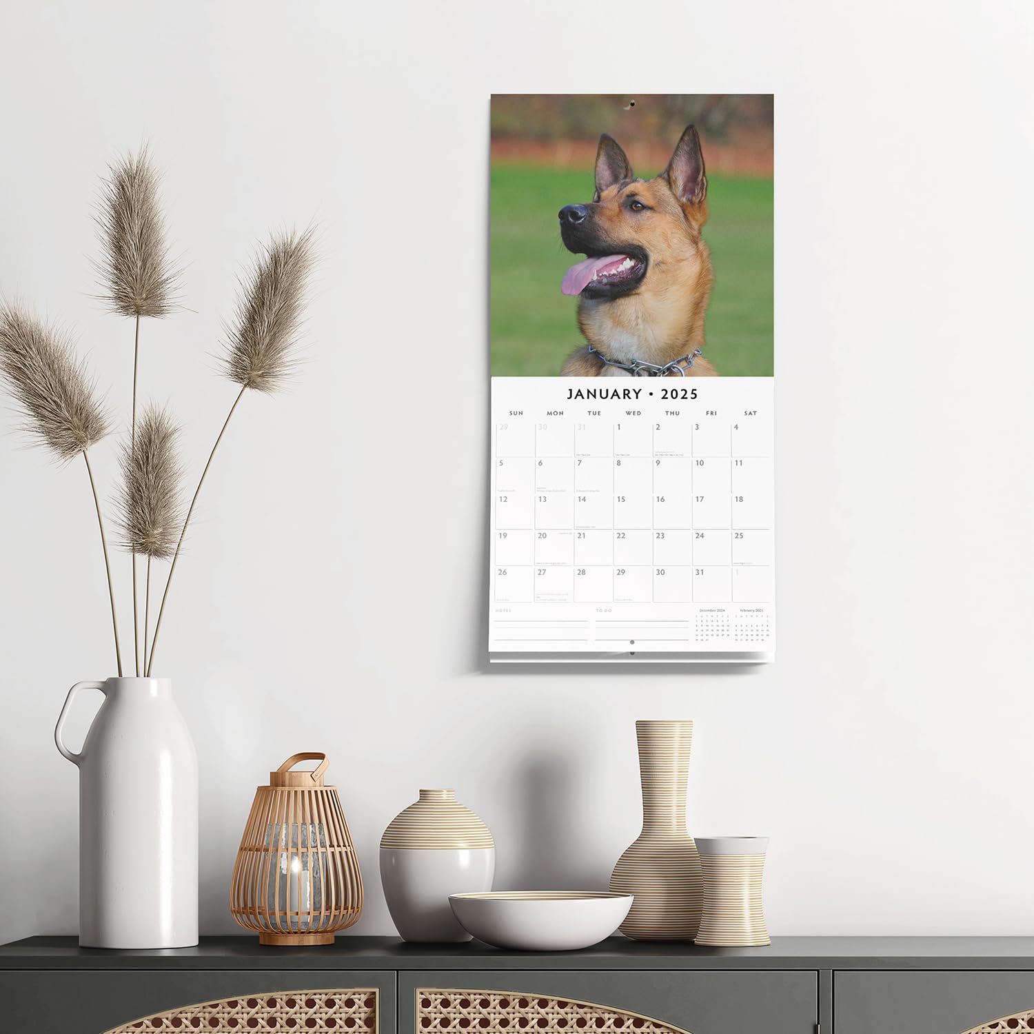 Red Robin 2025 Belgian Shepherd Dogs Monthly Wall Calendar | 12" x 24" Open | Premium Thick & Sturdy Paper | Hangable 12 Month Calendar | Plastic Free | 4 Month Transition Page for 2024