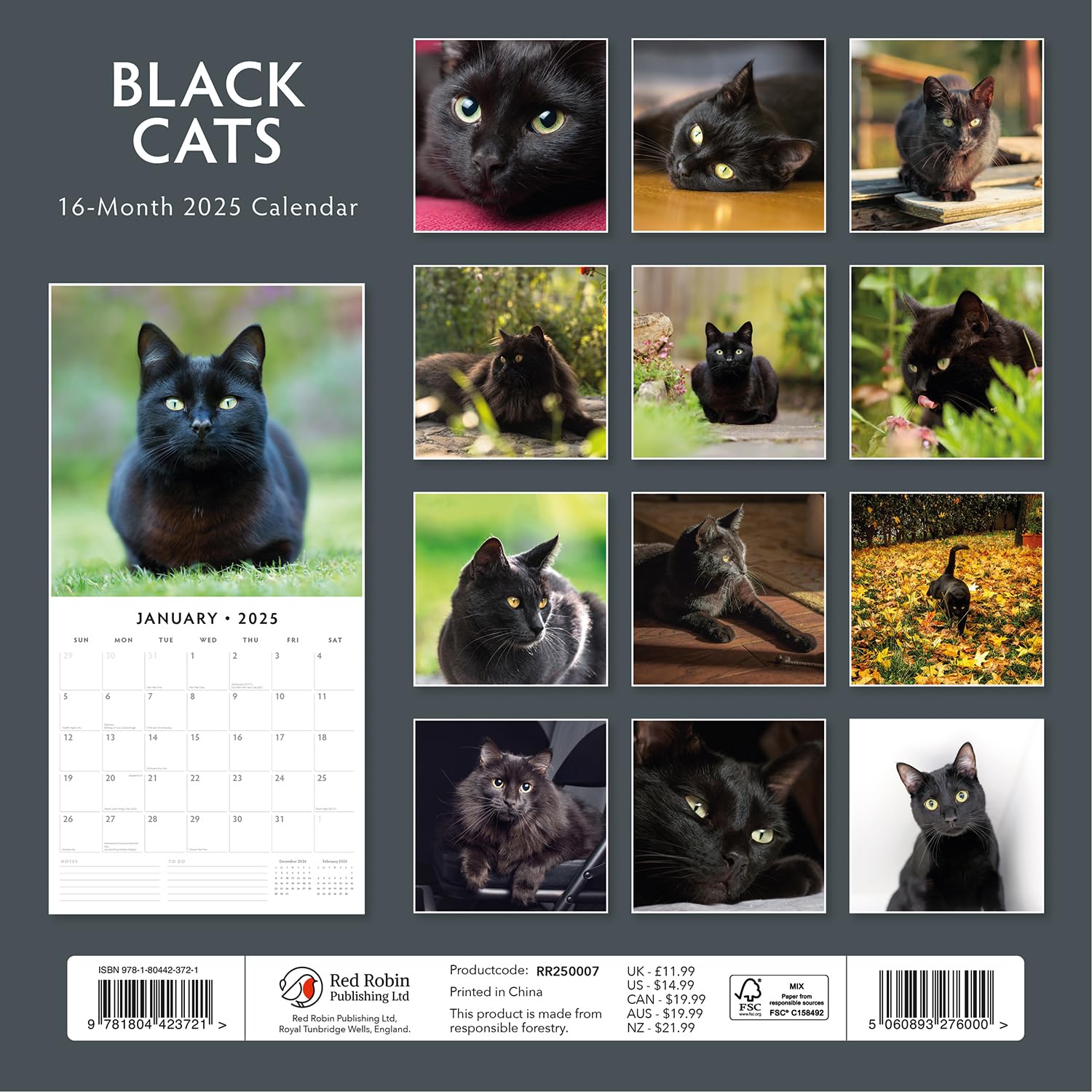 Red Robin 2025 Black Cats Monthly Wall Calendar | 12" x 24" Open | Premium Thick & Sturdy Paper | Hangable 12 Month Calendar | Plastic Free | 4 Month Transition Page for 2024