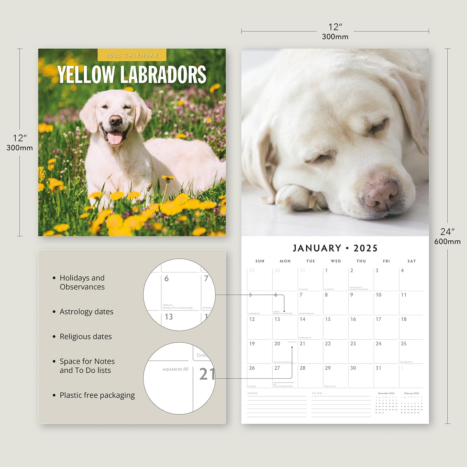 Red Robin 2025 Yellow Labrador Monthly Wall Calendar | 12" x 24" Open | Premium Thick & Sturdy Paper | Hangable 12 Month Calendar | Plastic Free | 4 Month Transition Page for 2024