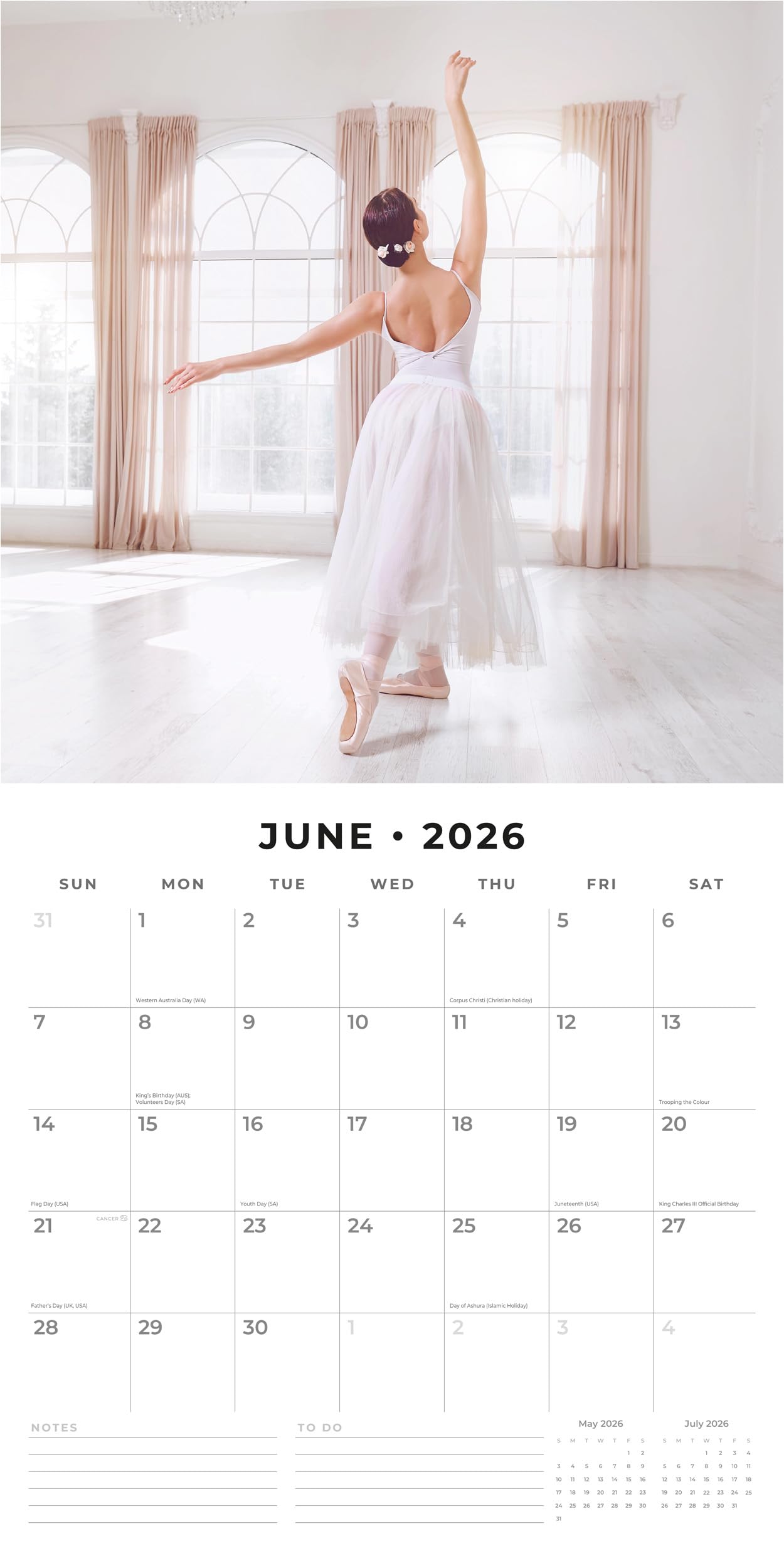 Red Robin 2027 Zen Monthly Wall Calendar | 12" x 12"