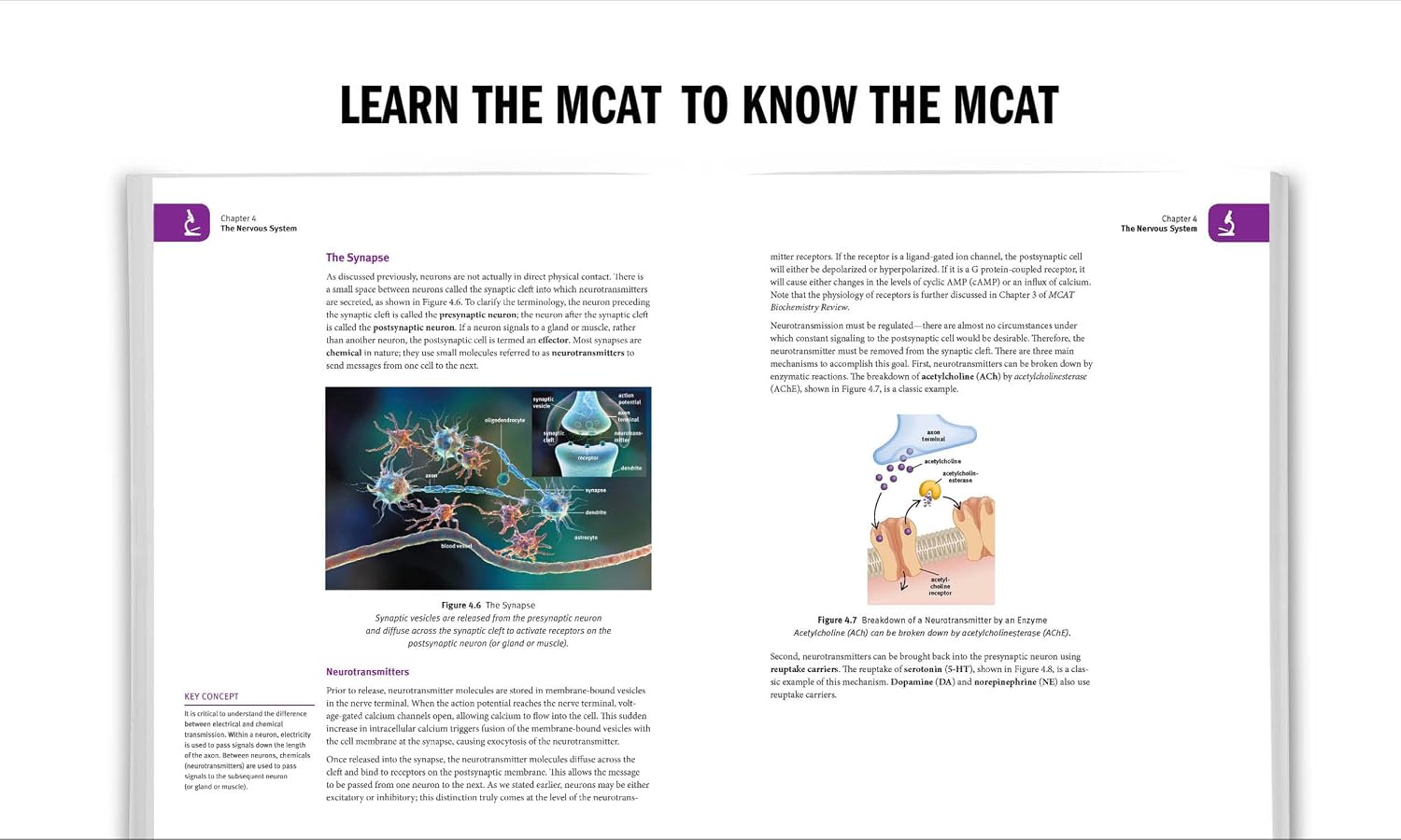 MCAT Physics and Math Review 2024-2025: Online + Book (Kaplan Test Prep)