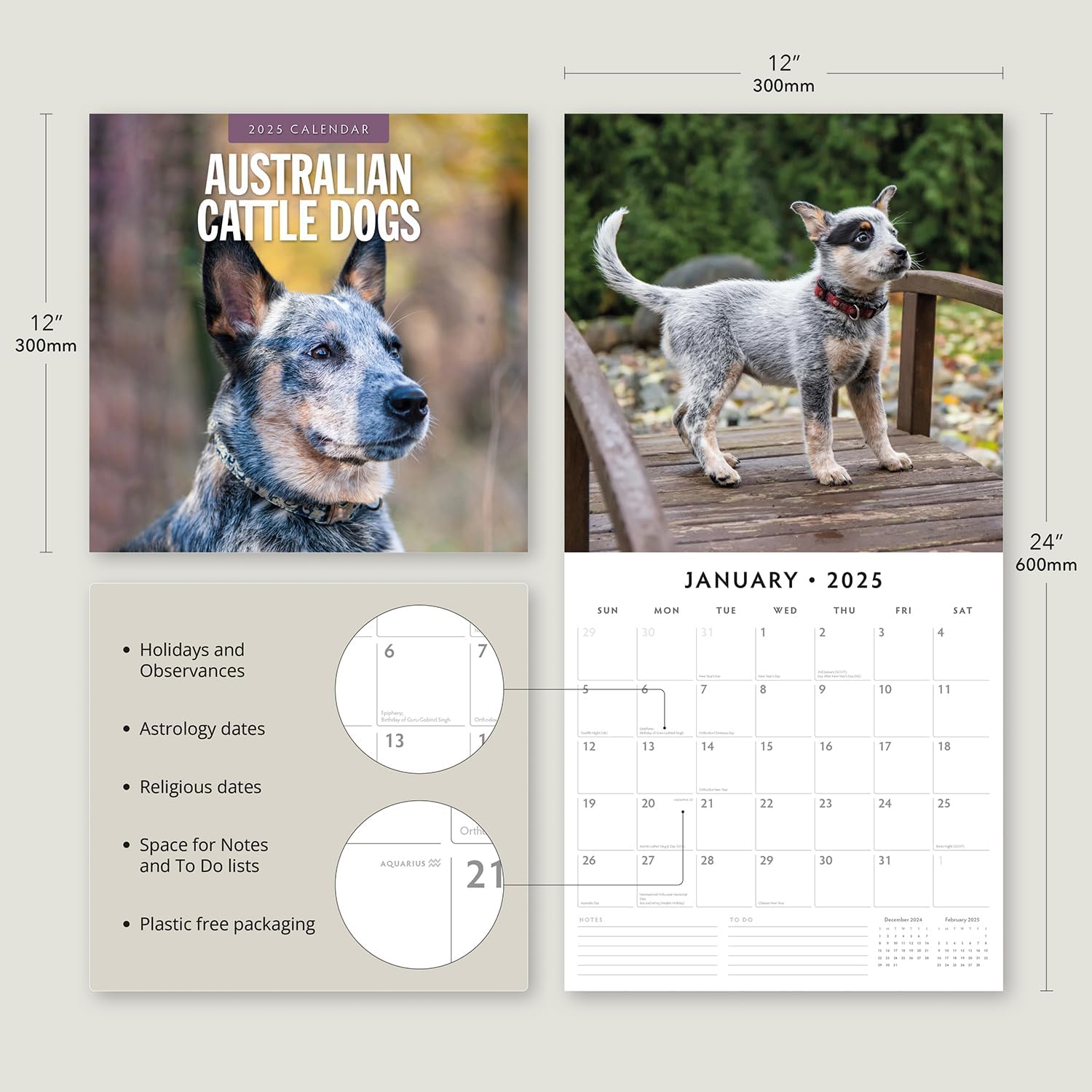 Red Robin 2025 Australian Cattle Dogs Monthly Wall Calendar | 12" x 24" Open | Premium Thick & Sturdy Paper | Hangable 12 Month Calendar | Plastic Free | 4 Month Transition Page for 2024