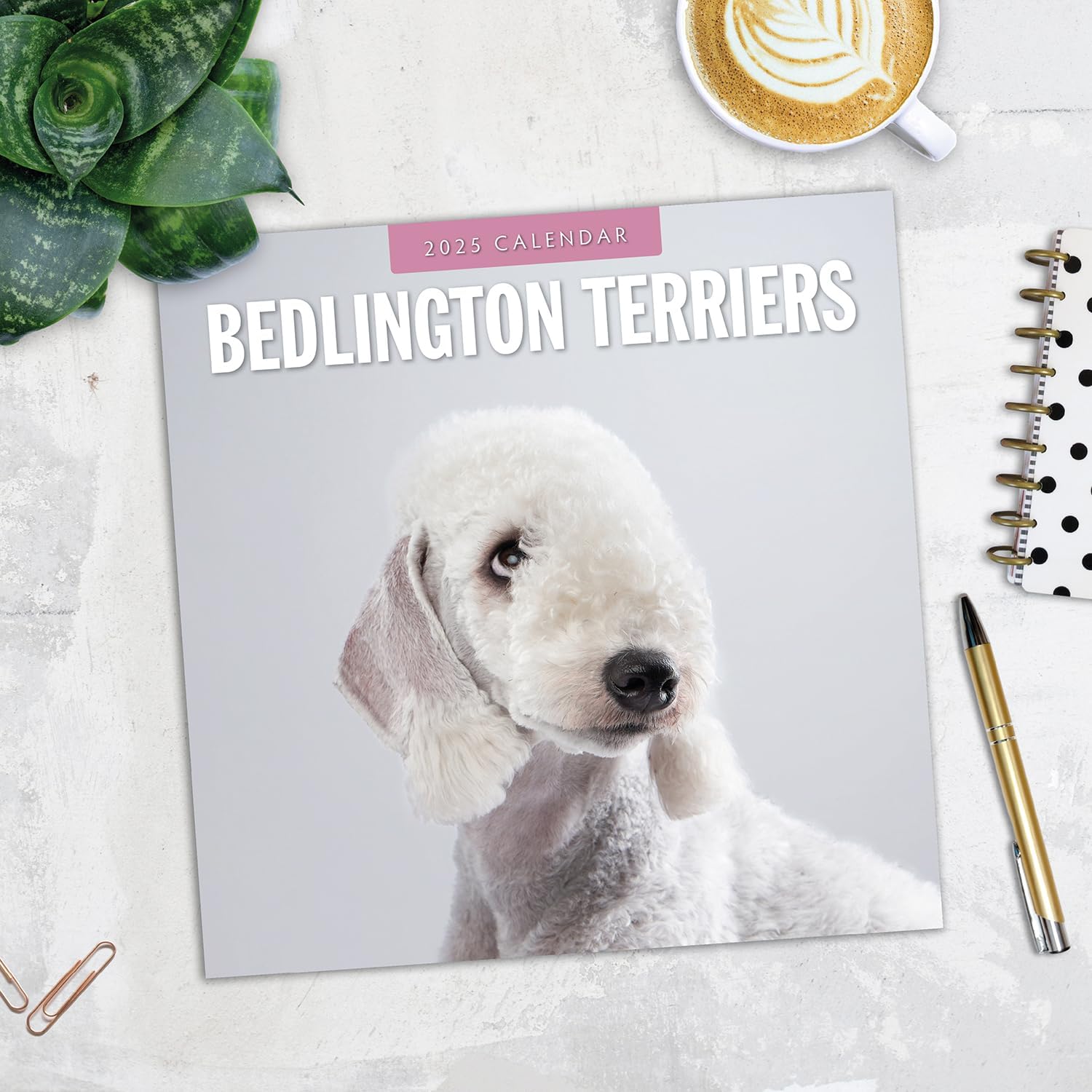 Red Robin 2025 Bedlington Terriers Monthly Wall Calendar | 12" x 24" Open | Premium Thick & Sturdy Paper | Hangable 12 Month Calendar | Plastic Free | 4 Month Transition Page for 2024