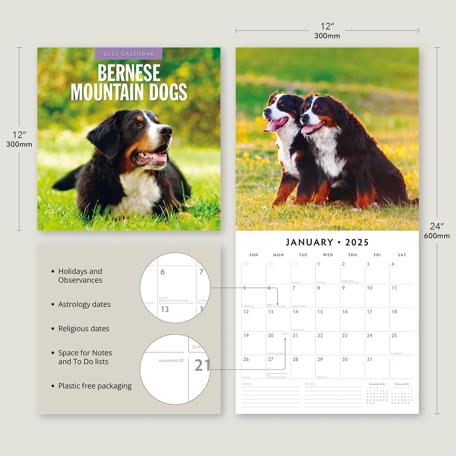 Red Robin 2025 Bernese Mountain Dogs Monthly Wall Calendar | 12" x 24" Open | Premium Thick & Sturdy Paper | Hangable 12 Month Calendar | Plastic Free | 4 Month Transition Page for 2024