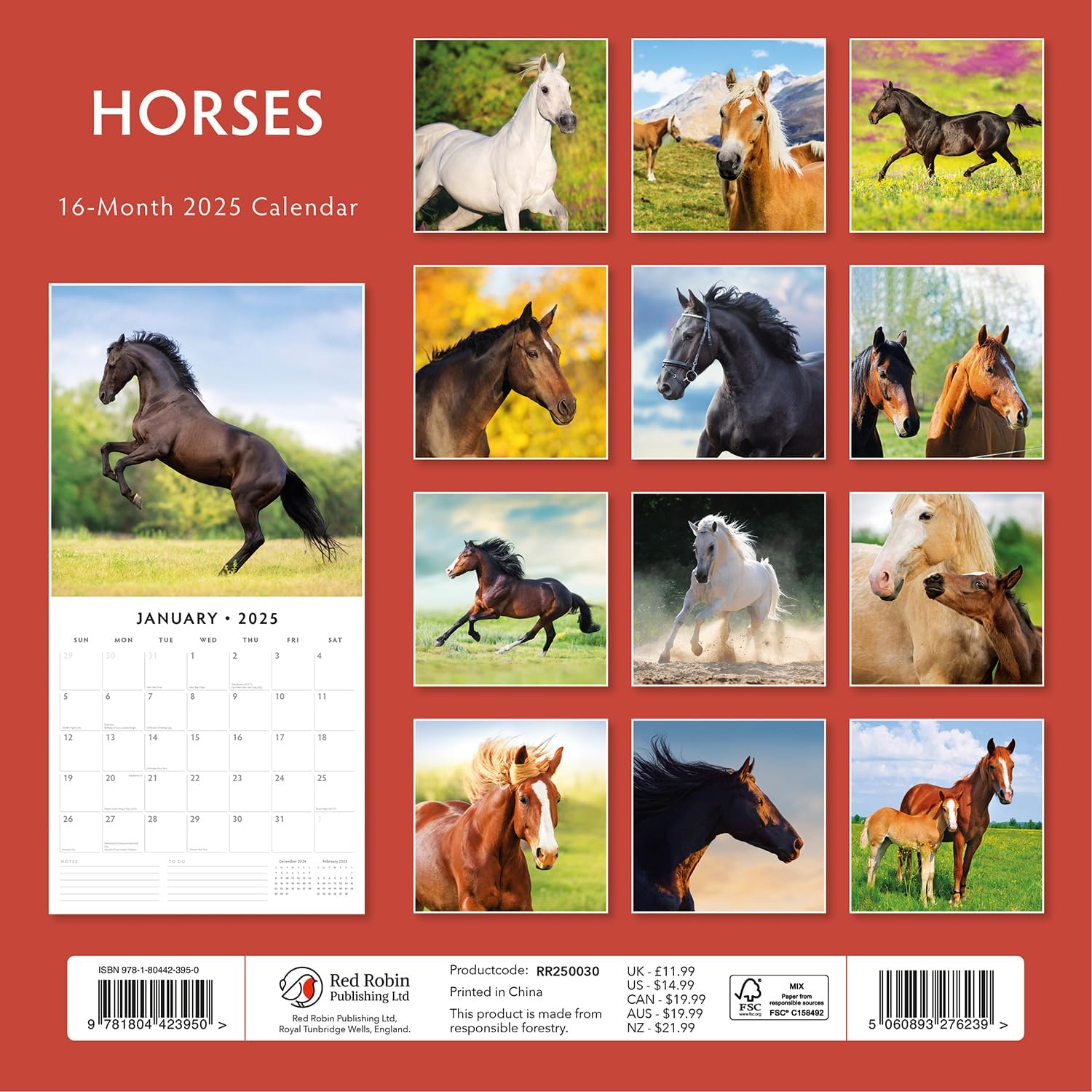 Red Robin 2025 Horses Monthly Wall Calendar | 12" x 24" Open | Premium Thick & Sturdy Paper | Hangable 12 Month Calendar | Plastic Free | 4 Month Transition Page for 2024