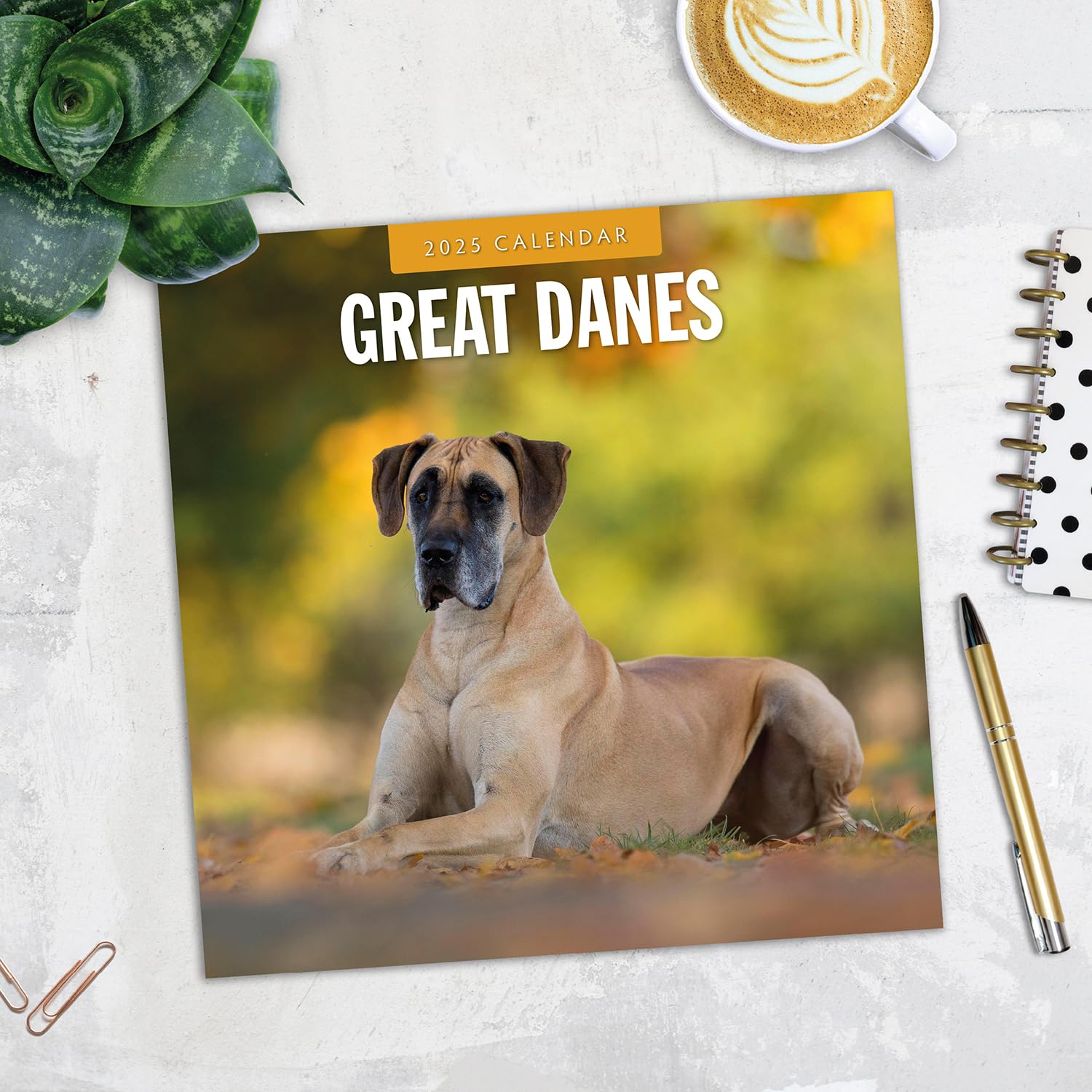 Red Robin 2025 Great Danes Monthly Wall Calendar | 12" x 24" Open | Premium Thick & Sturdy Paper | Hangable 12 Month Calendar | Plastic Free | 4 Month Transition Page for 2024